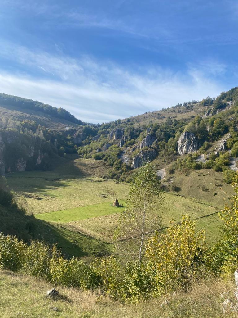 Casa din Pădure