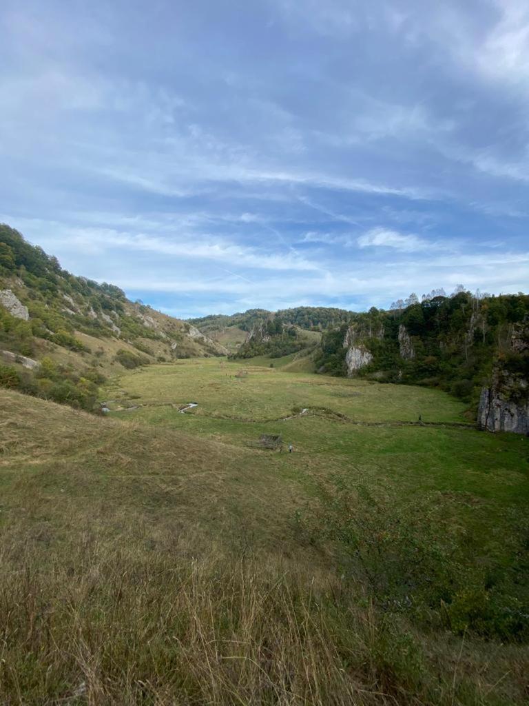 Casa din Pădure