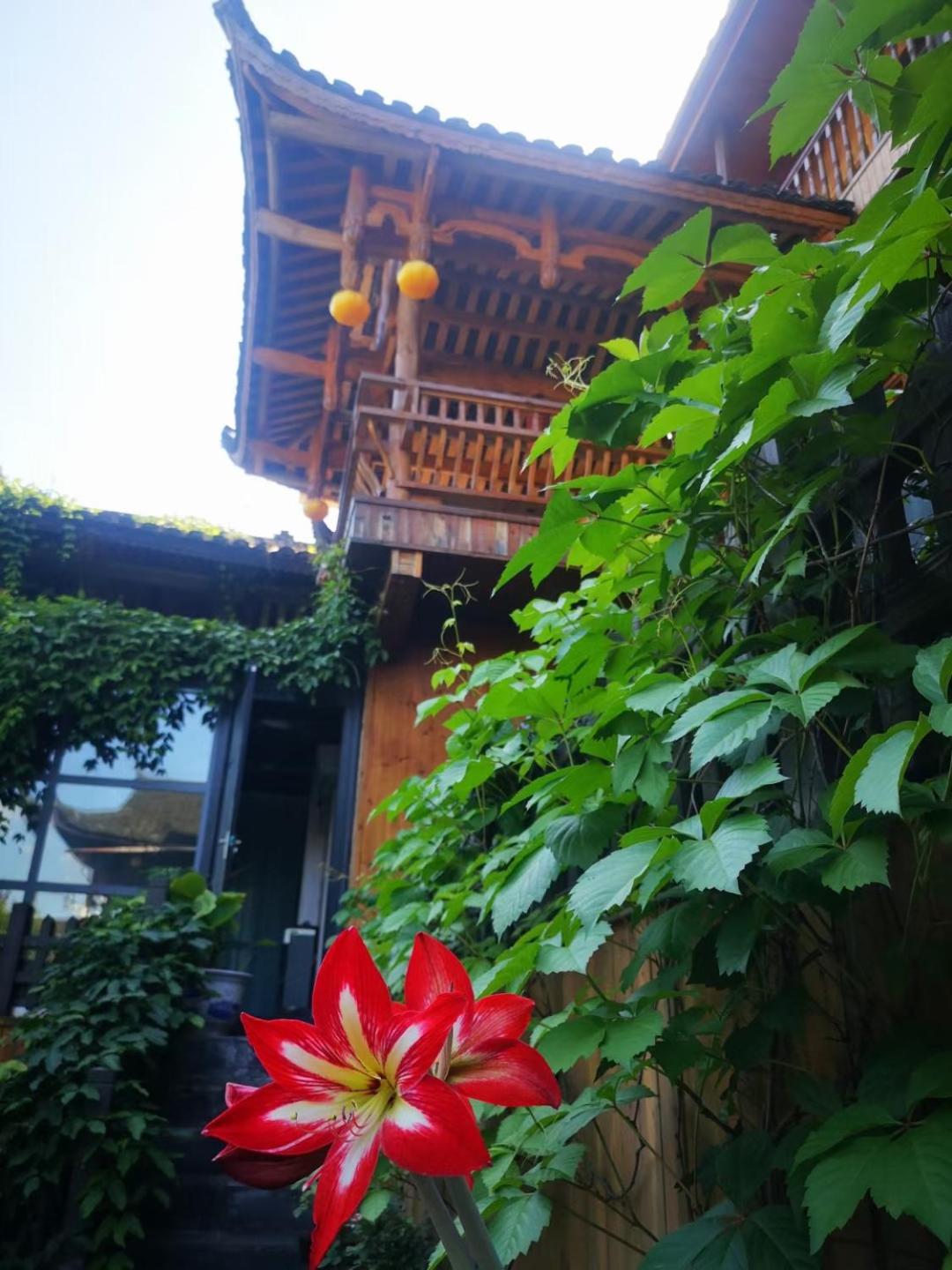 372 Jingjing Home