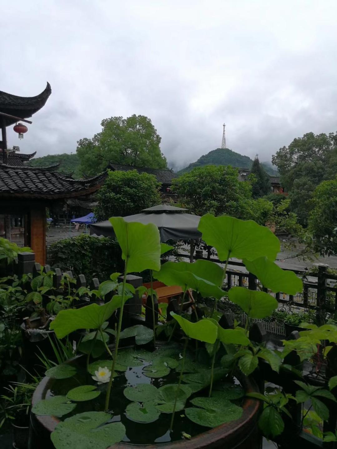 372 Jingjing Home