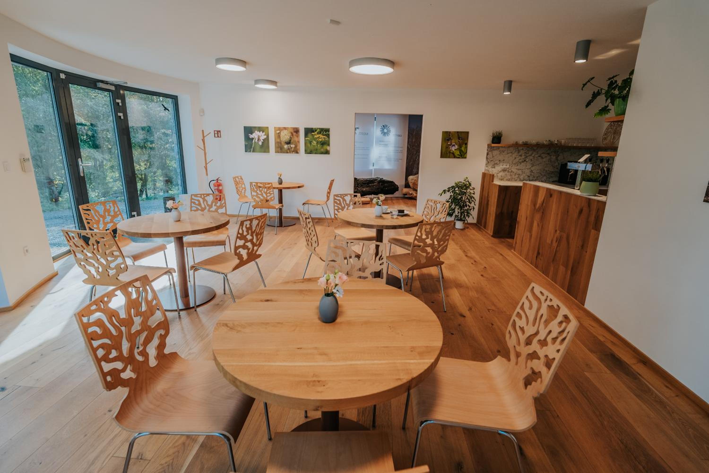 Apartmány Kurovický lom