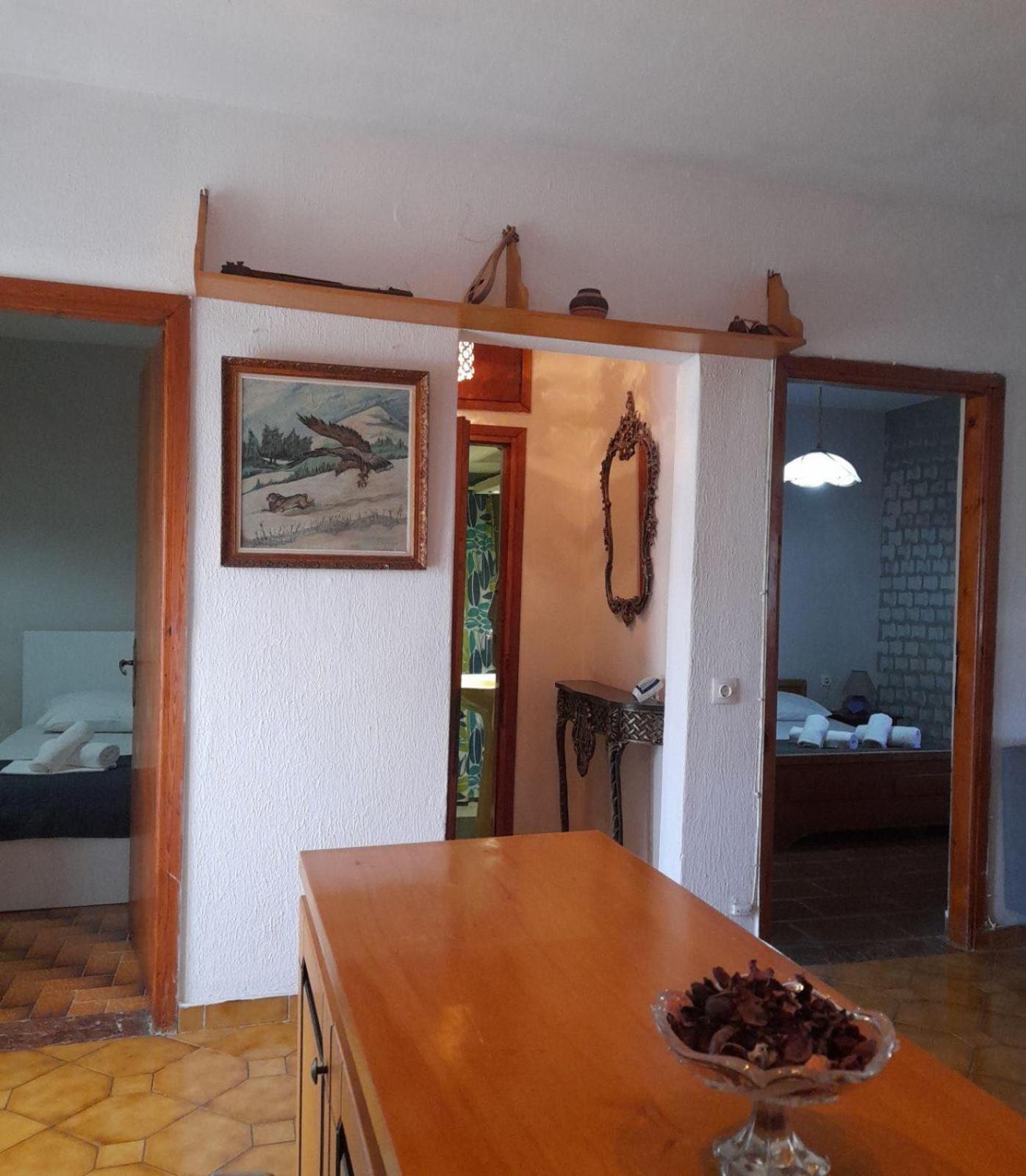 Dolphin Paradise Sozopoli