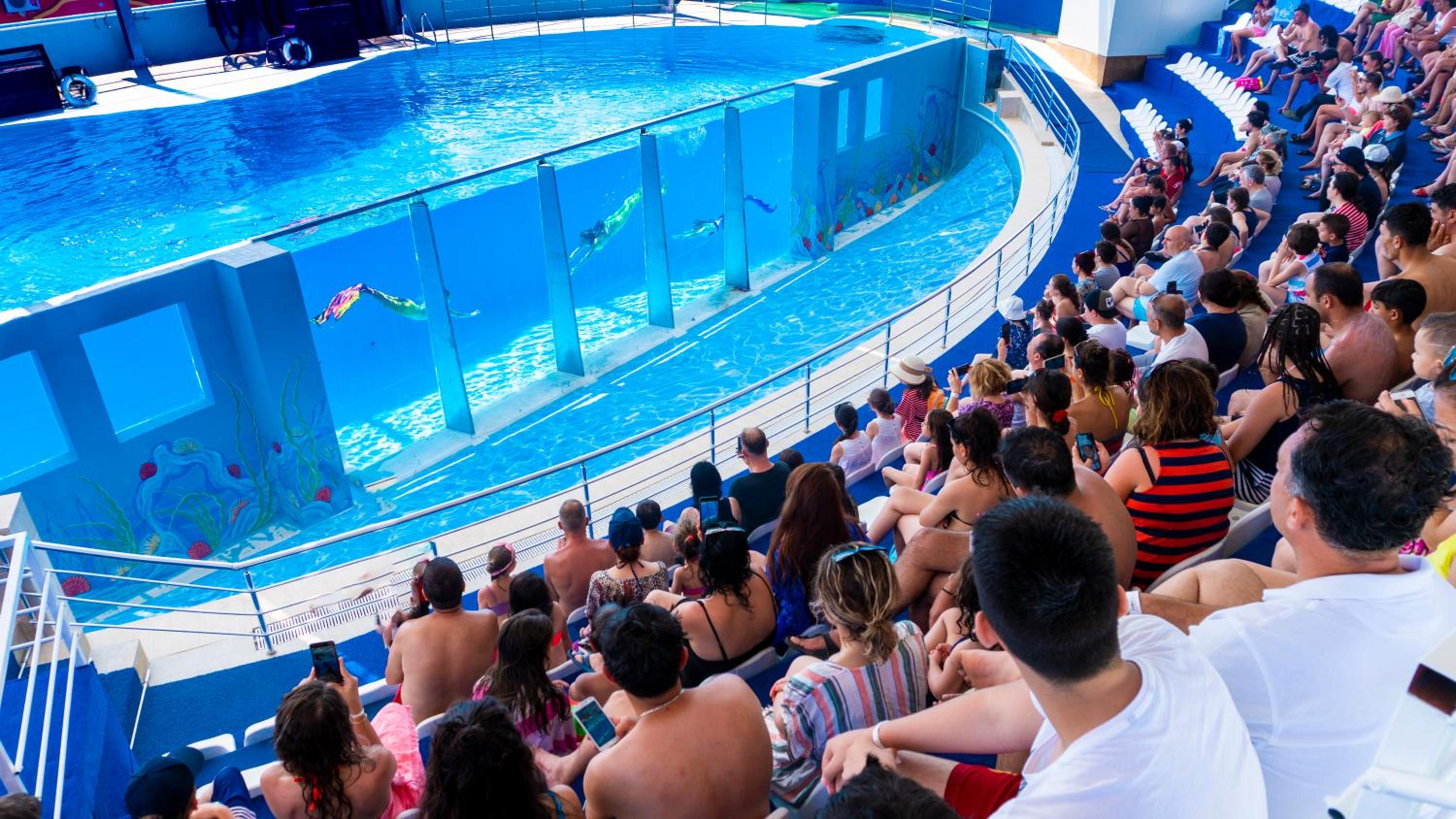 Daima Biz Otel - Dolusu Aquapark Erişimi - Image 5