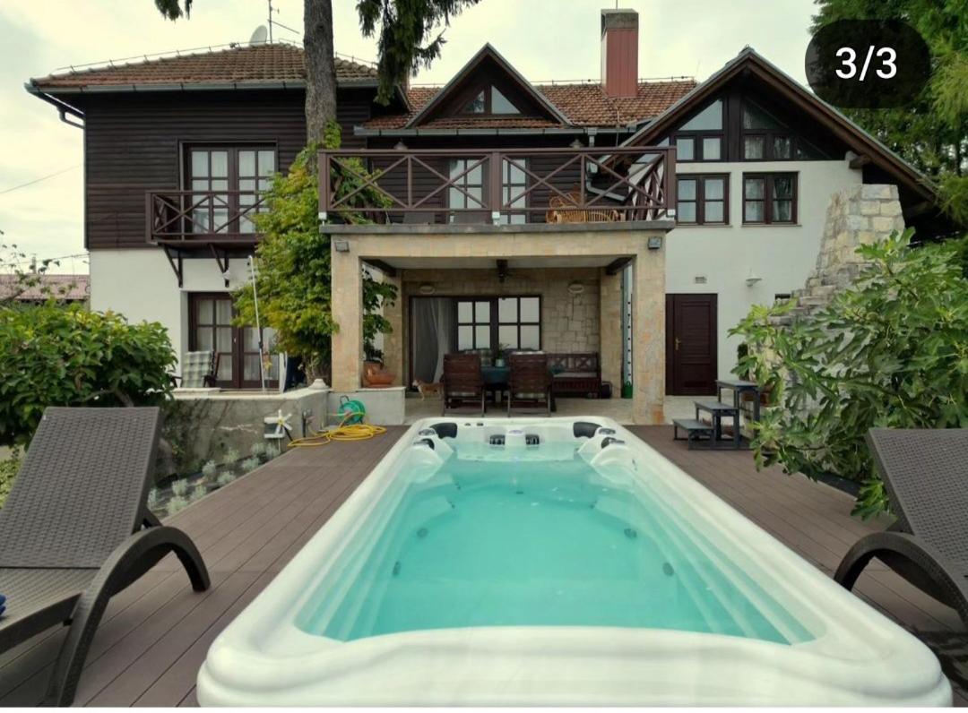 Villa Wolf Castle - vanjski grijani bazen 365 dana i pet friendly view 2