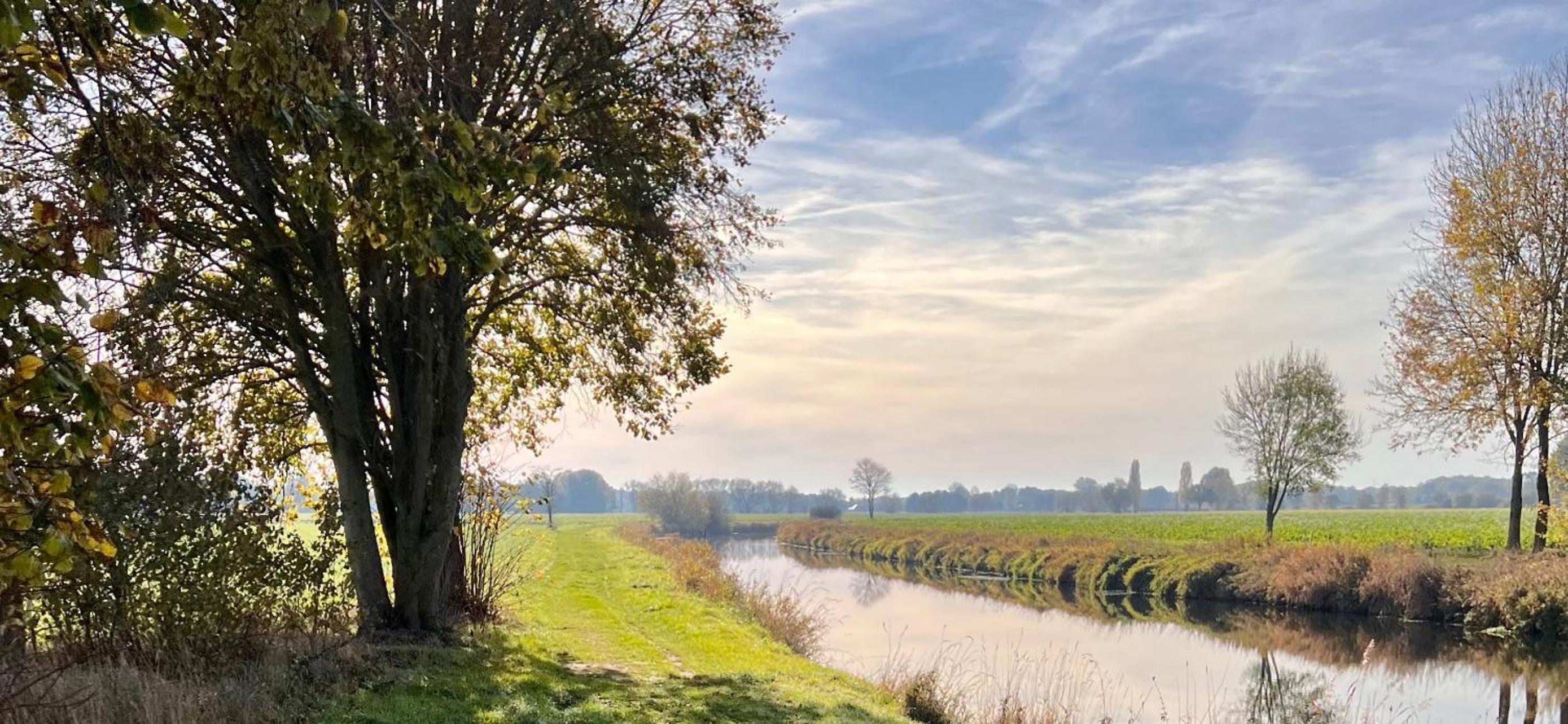 Allee zum See