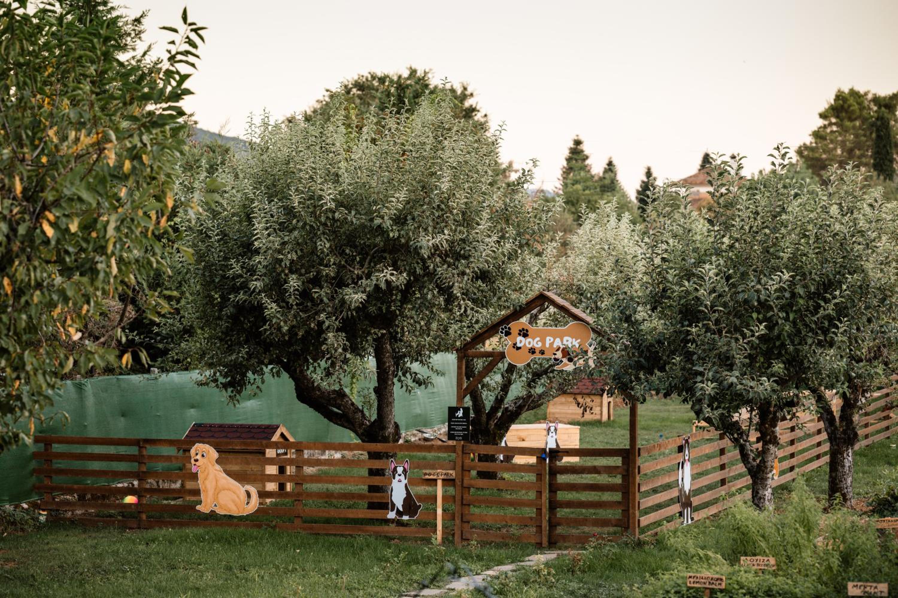 Epirus Palace Congress & Spa