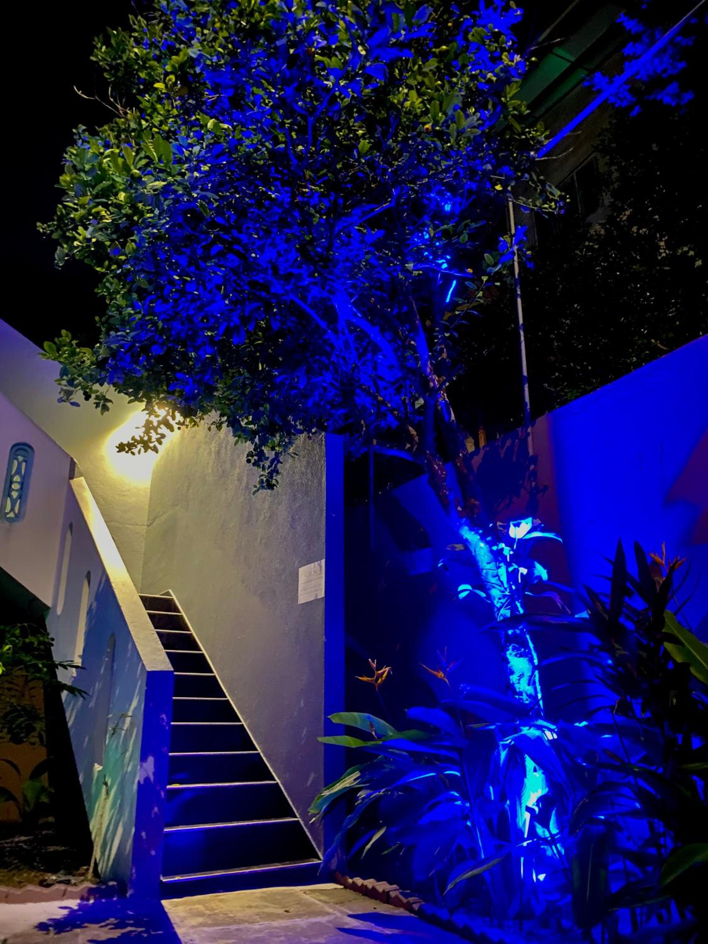 Tamara Motels