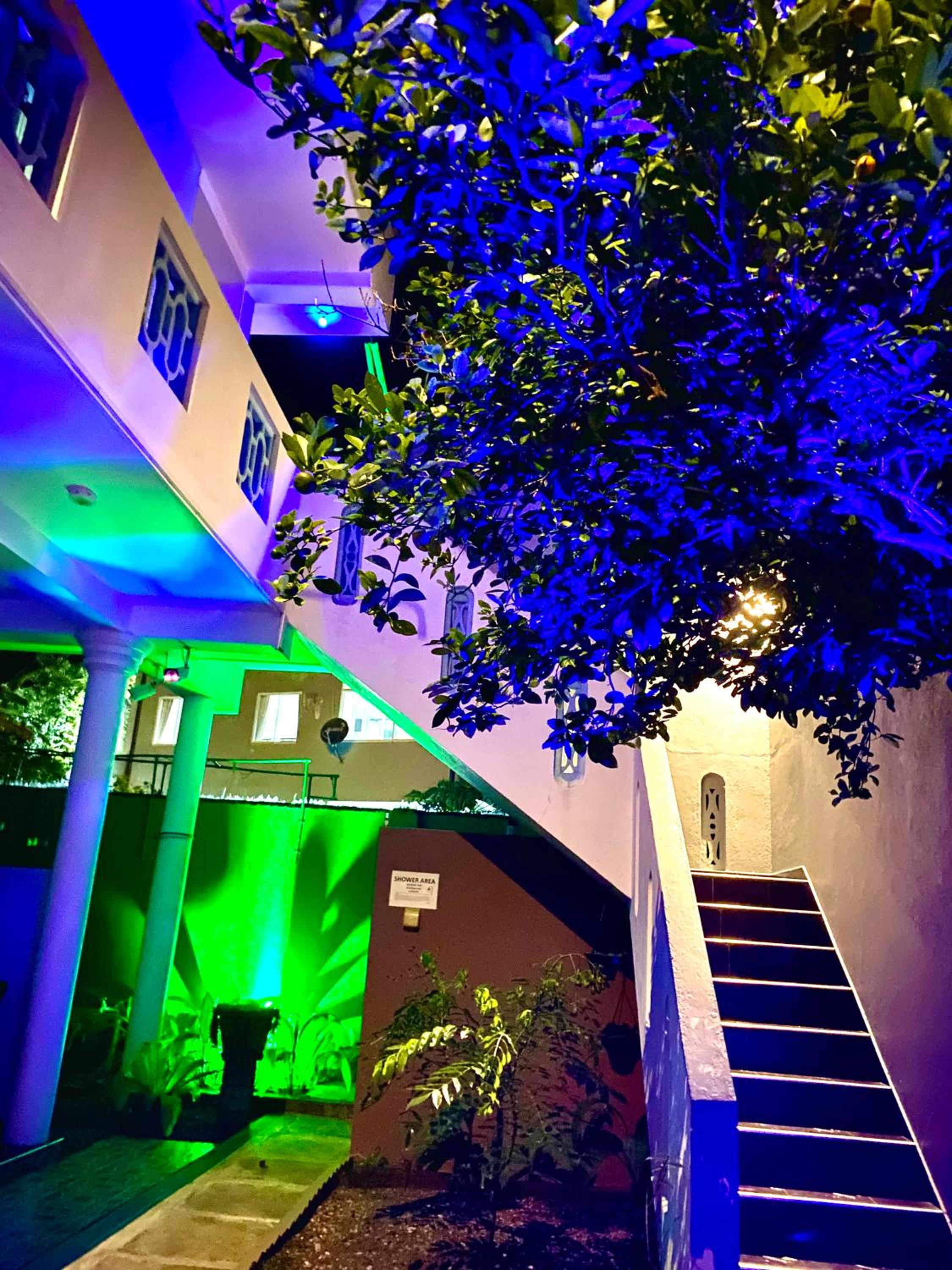 Tamara Motels