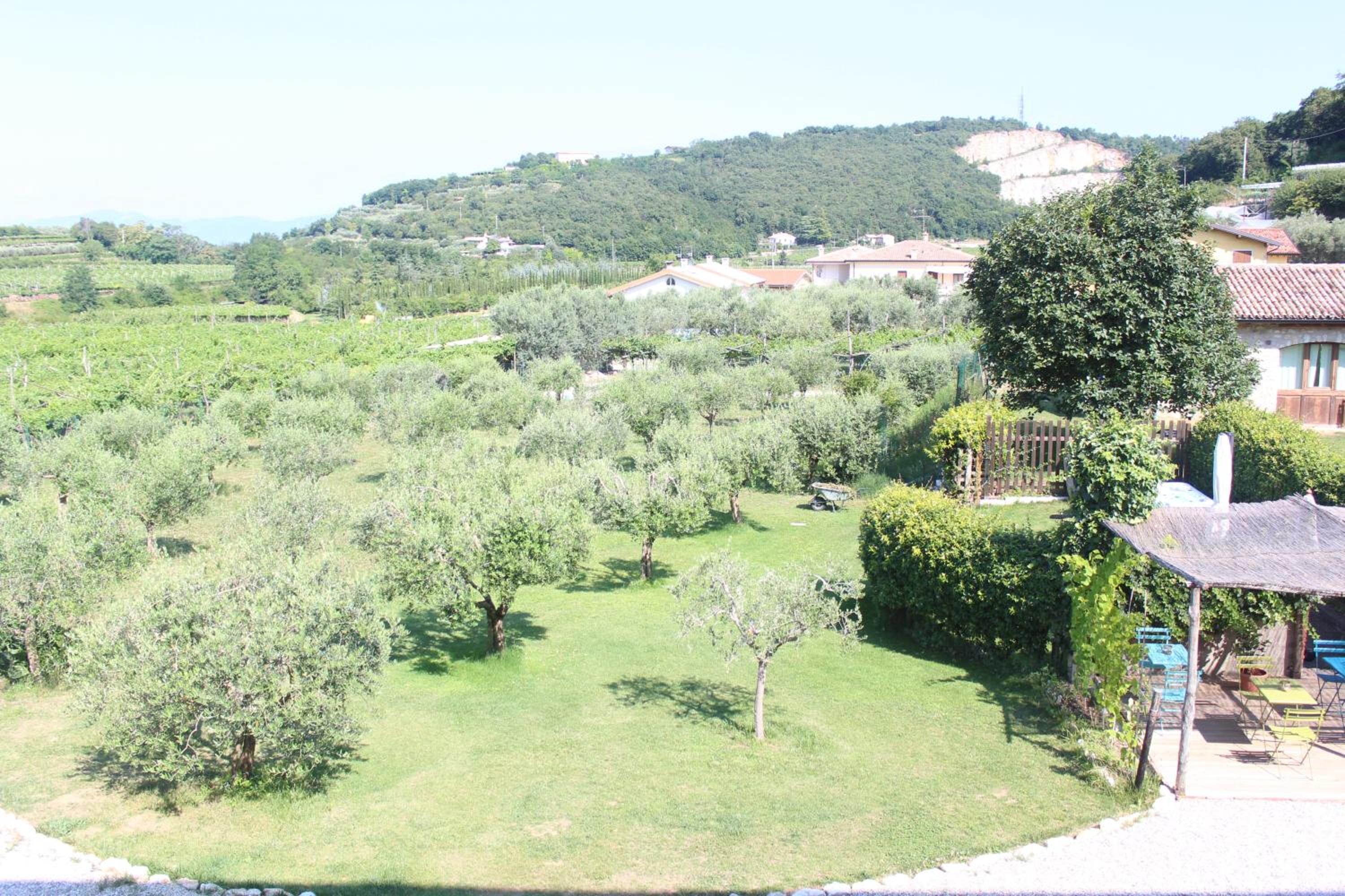 Corte Castello