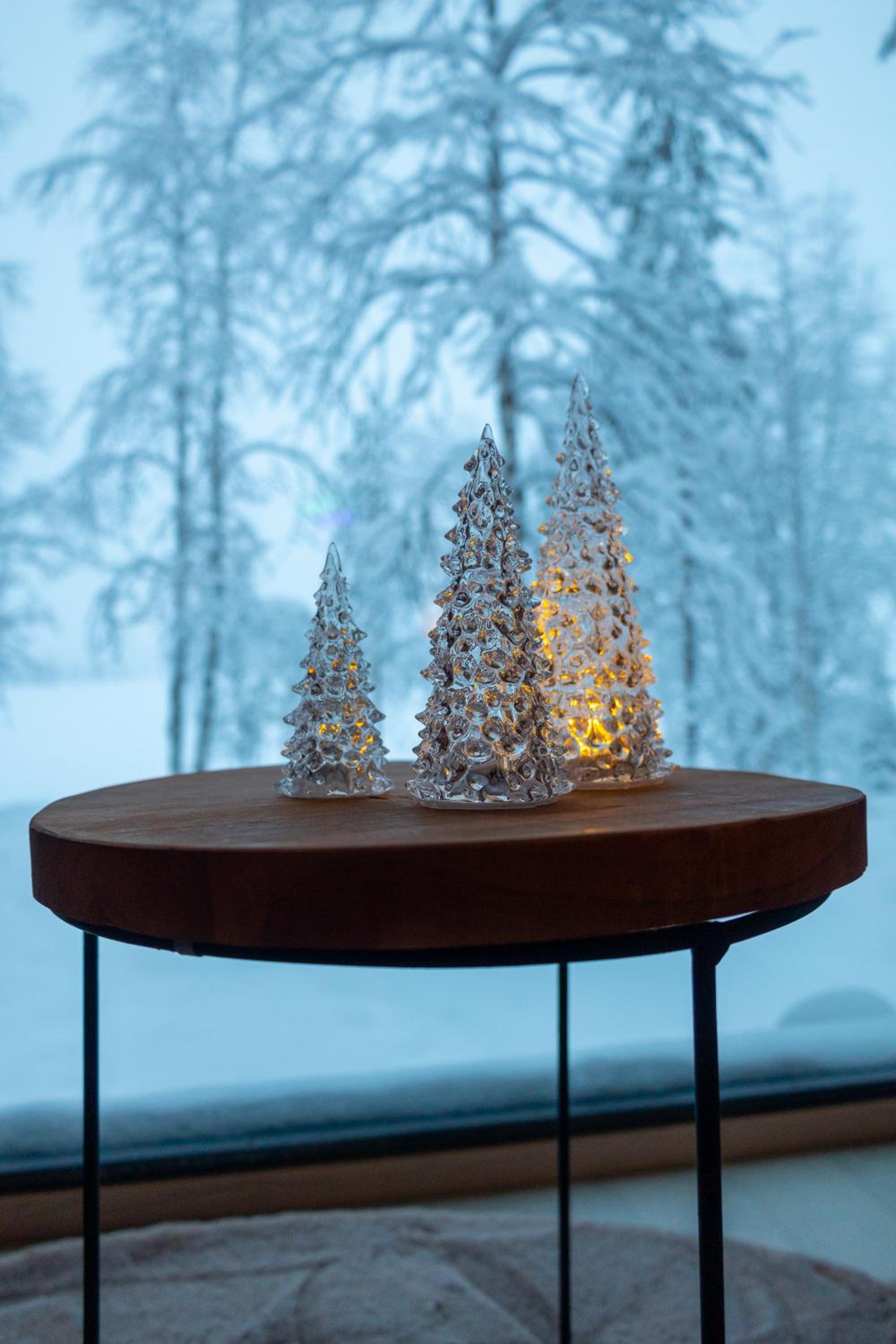 Skyfire Village Igloos view 4