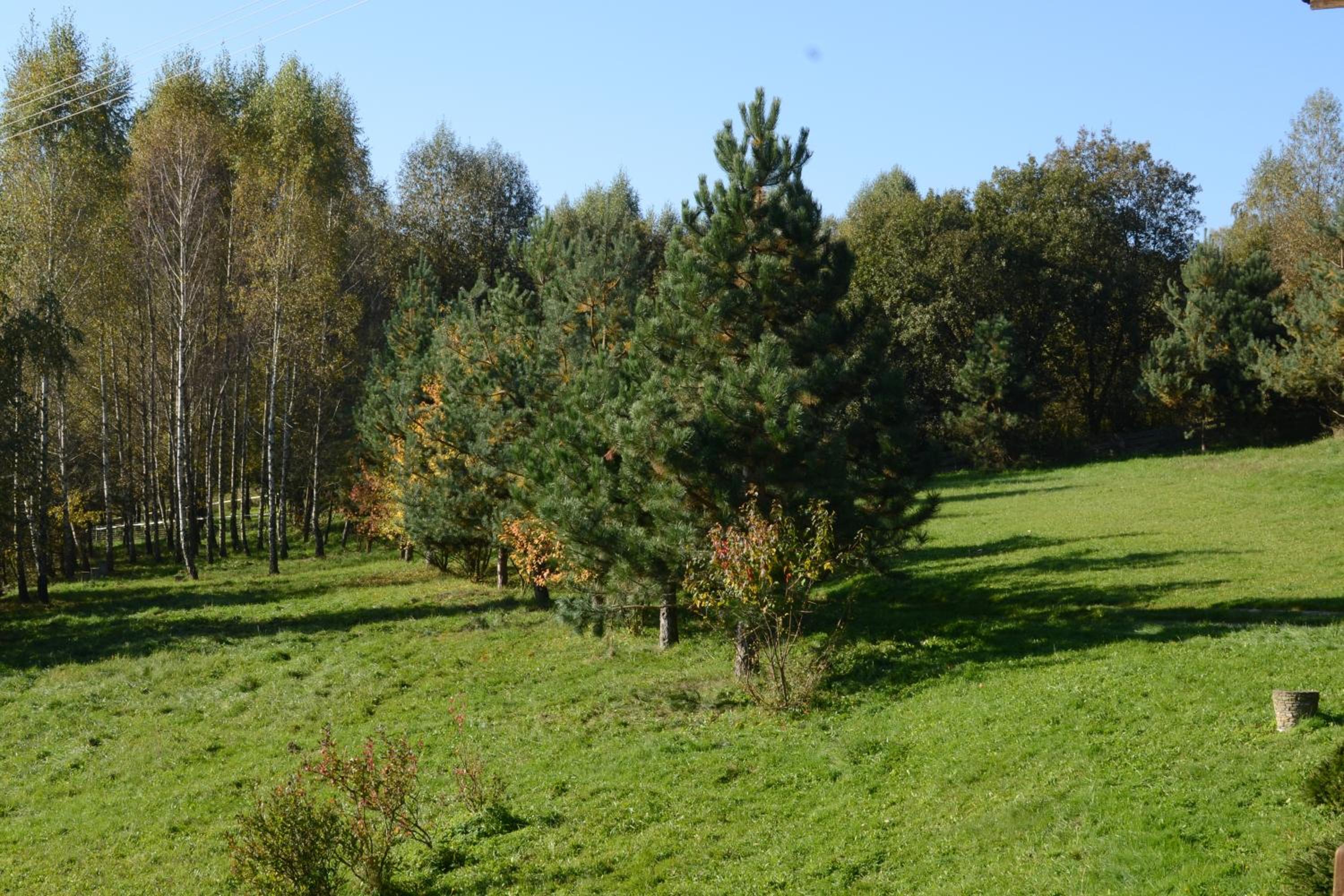 Photo 29