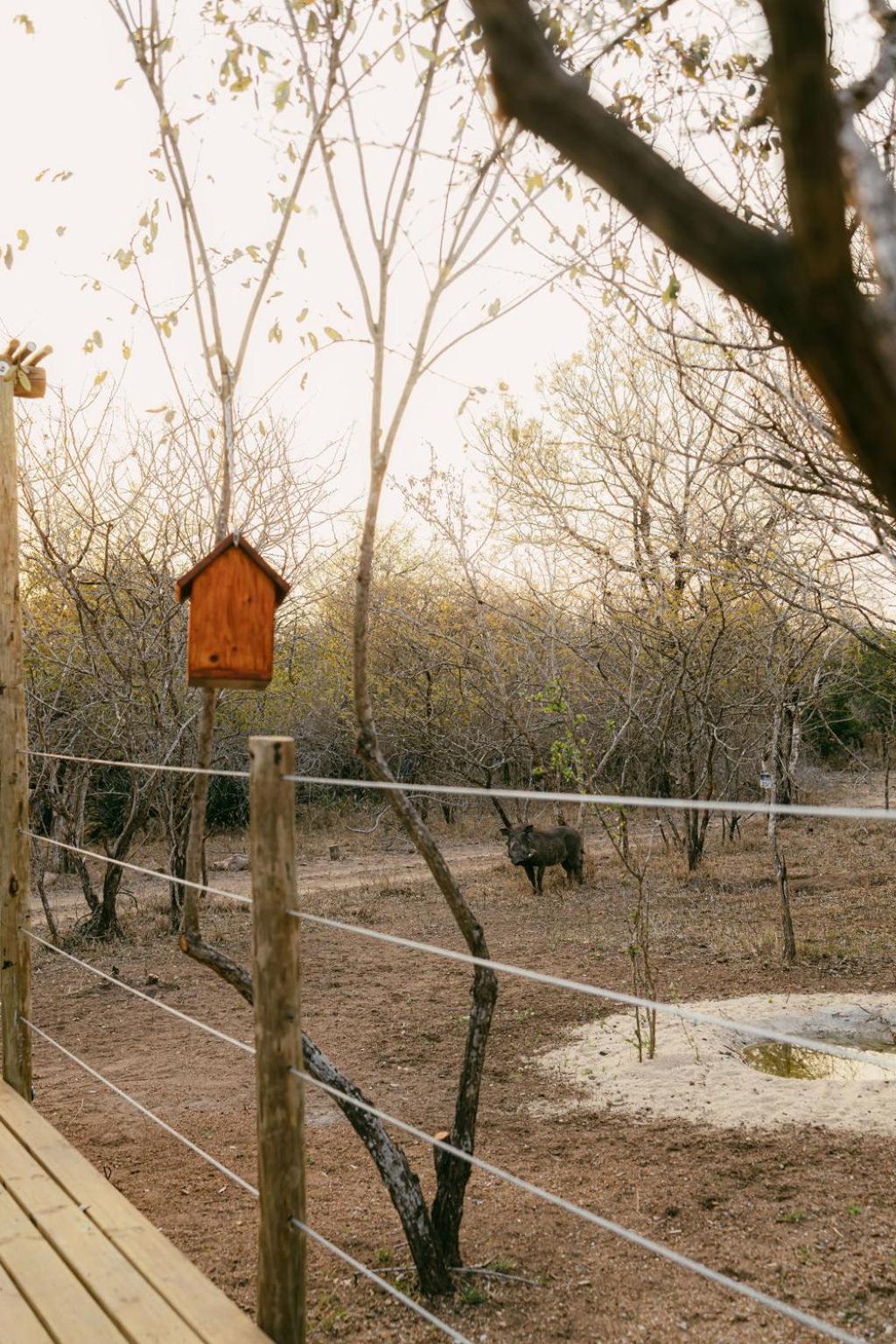 Photo 48