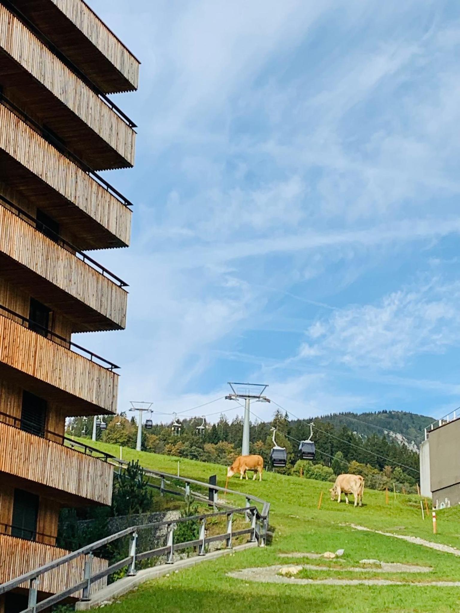 Ski-in Ski-out Ferienwohnung direkt an Piste und Liften - 3-room Stenna Selva apartment