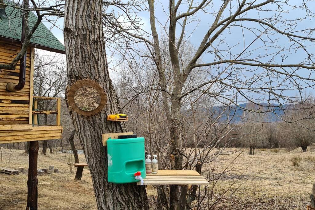 Apple Tree Cabin (Friendship Land) view 3