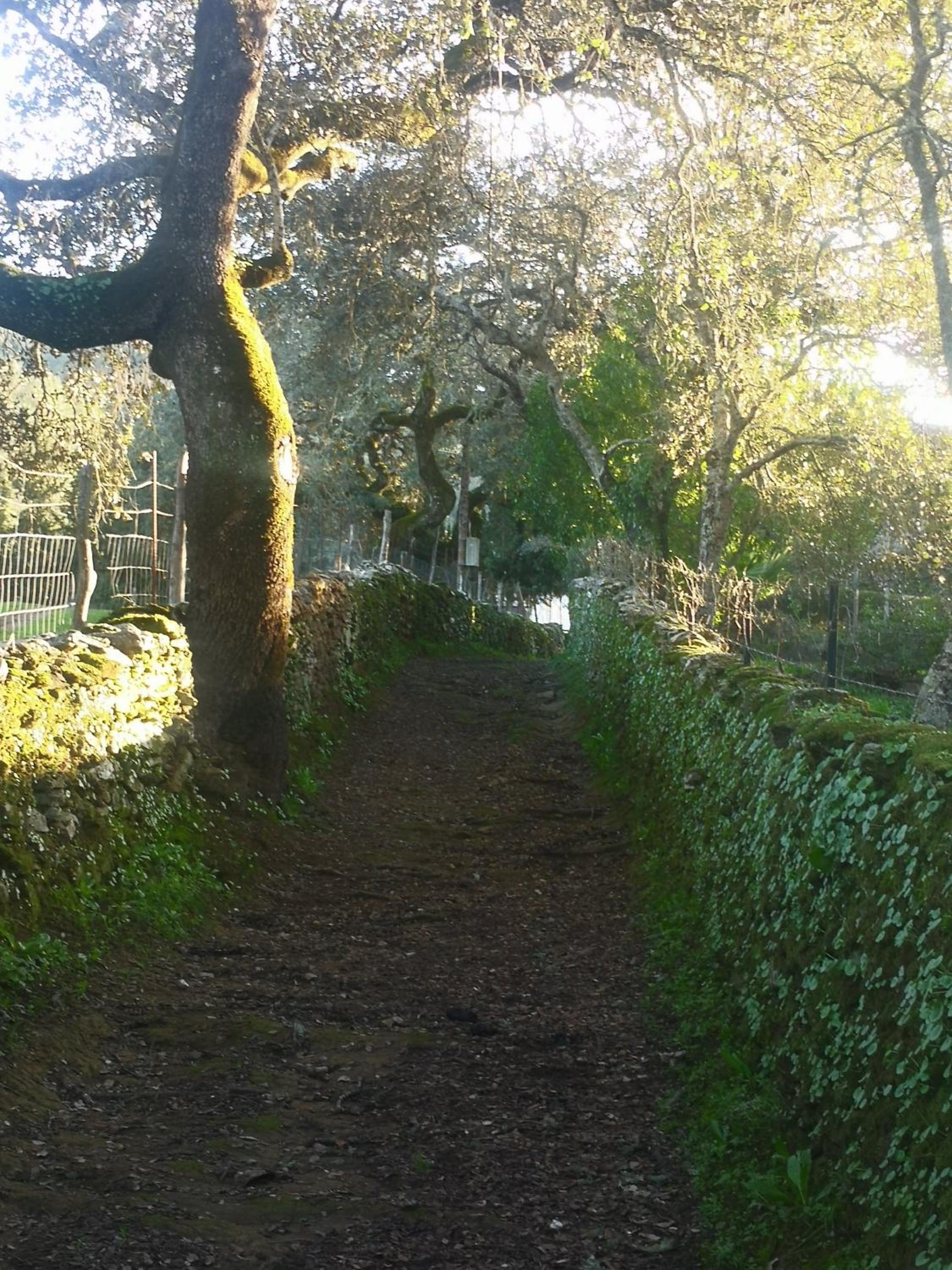 Casa de piedra Sierra Aracena