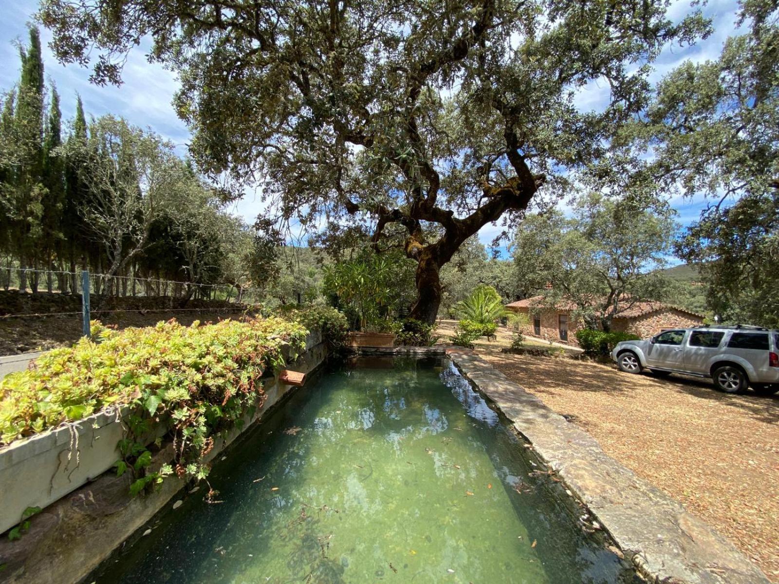 Casa de piedra Sierra Aracena