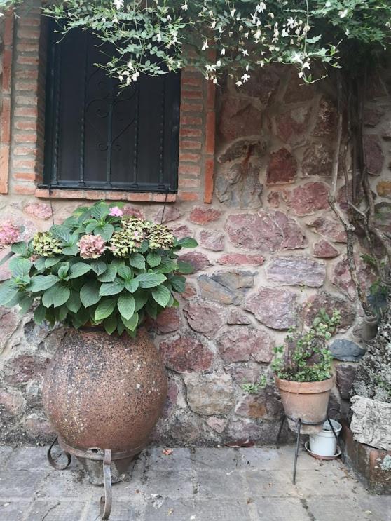 Casa de piedra Sierra Aracena