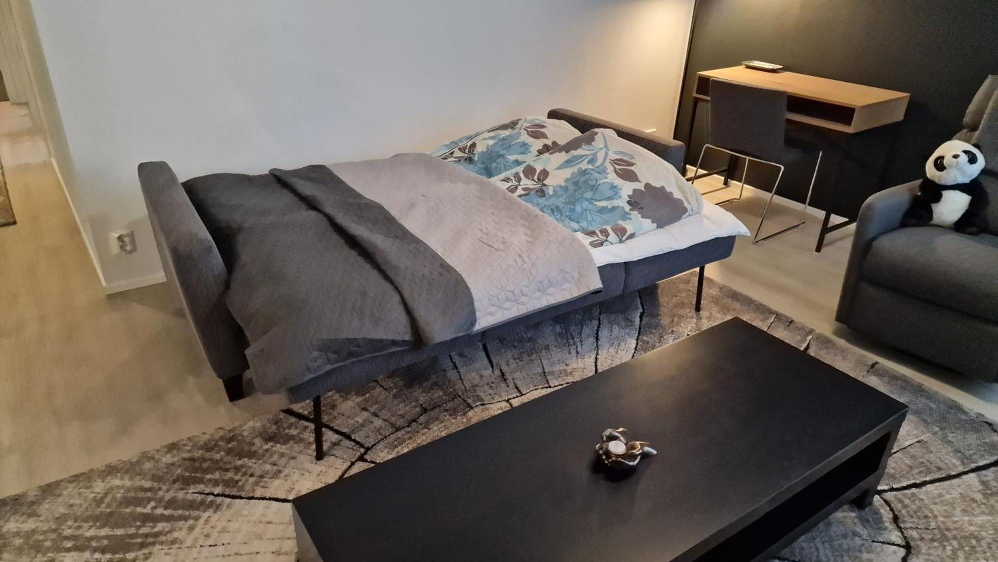Stylish apartment in town centre