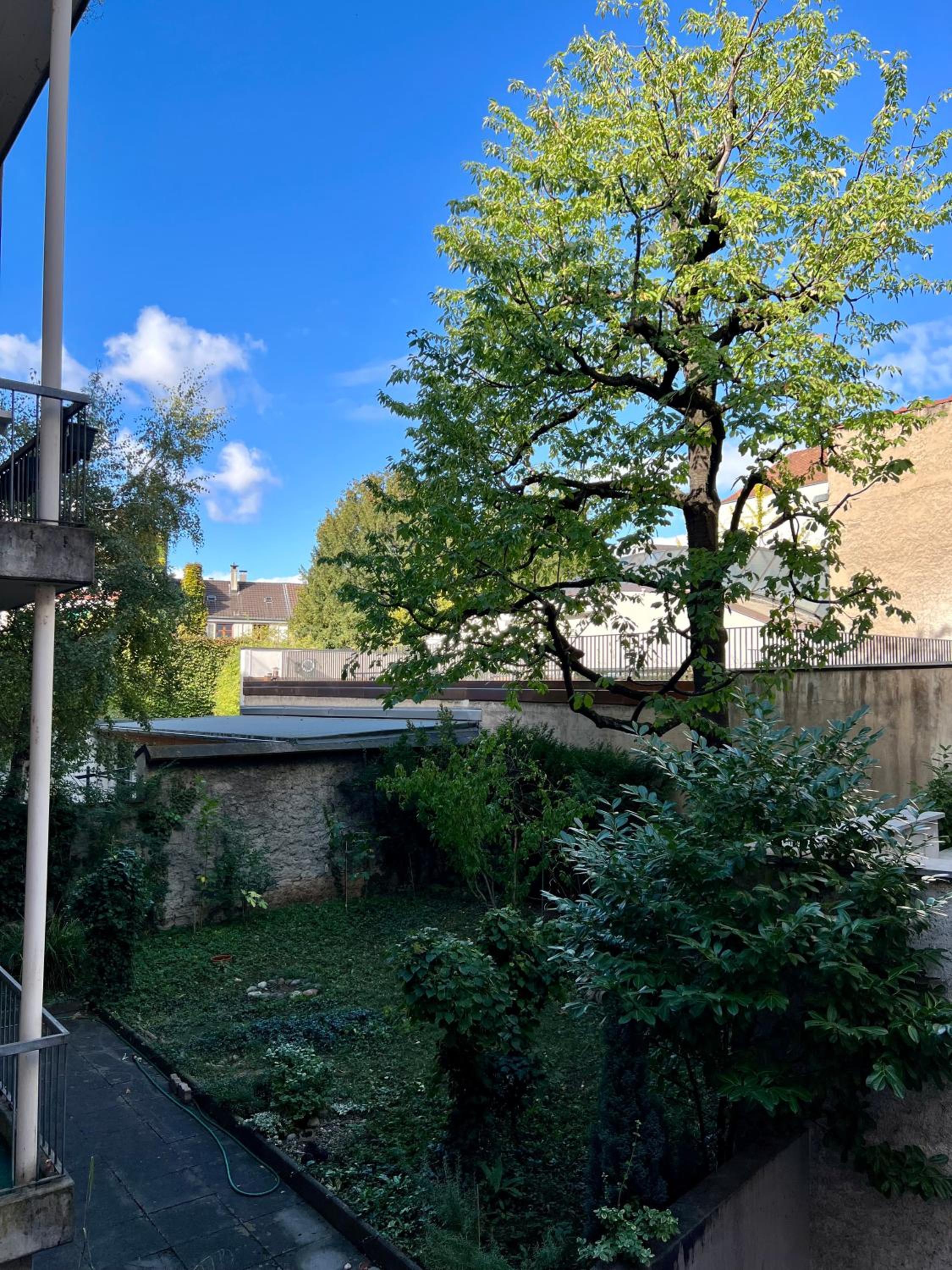 Gemütliche grosse Wohnung Nähe Uni