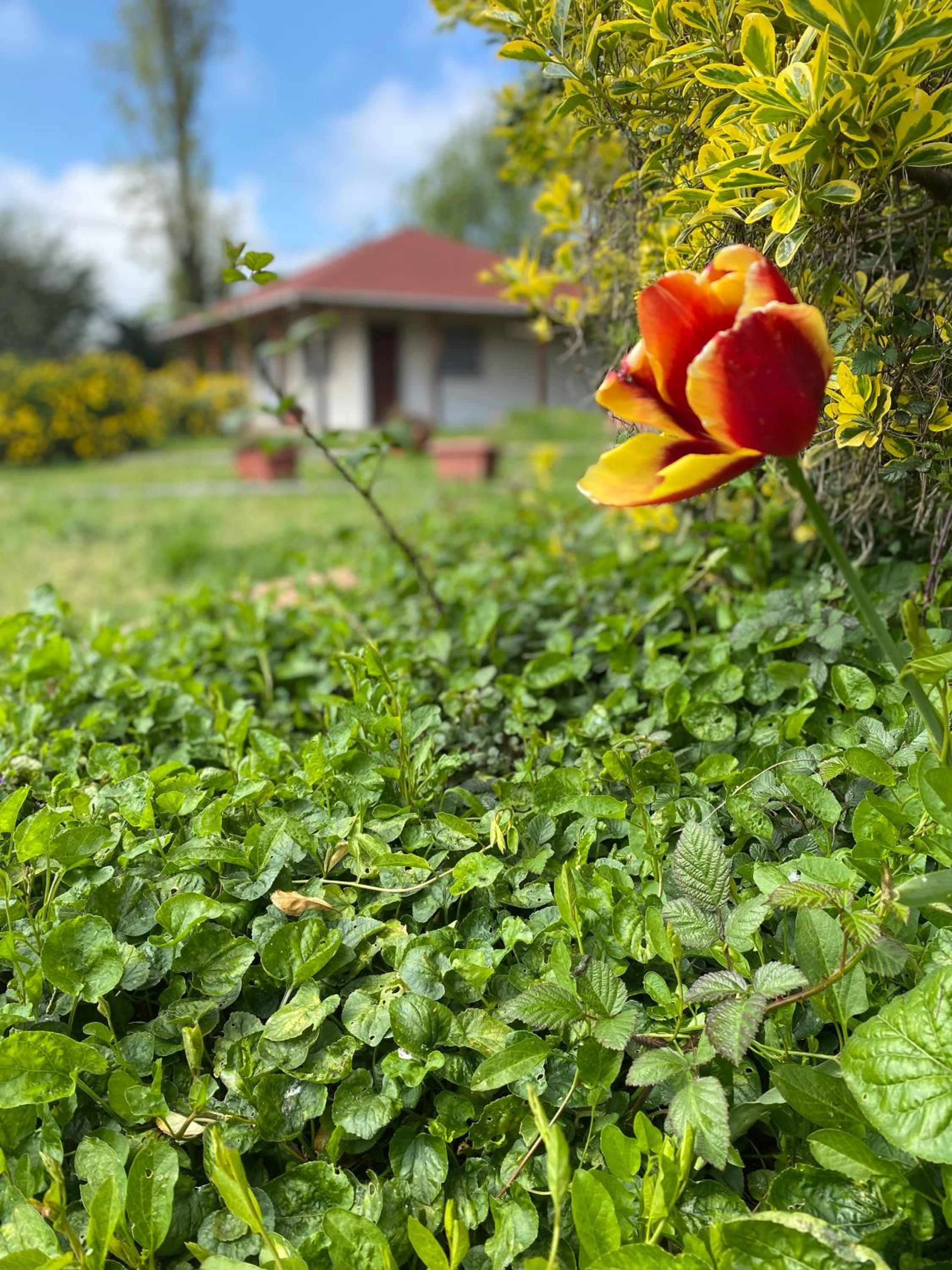 Casa en entorno natural