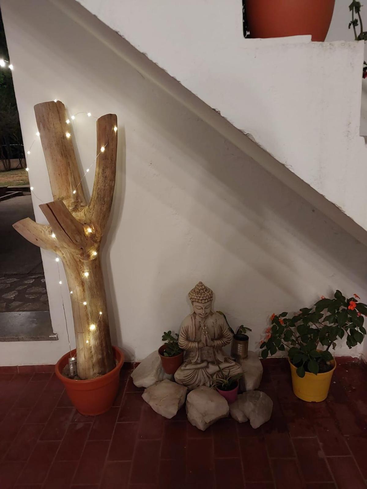 MAILY Guest House