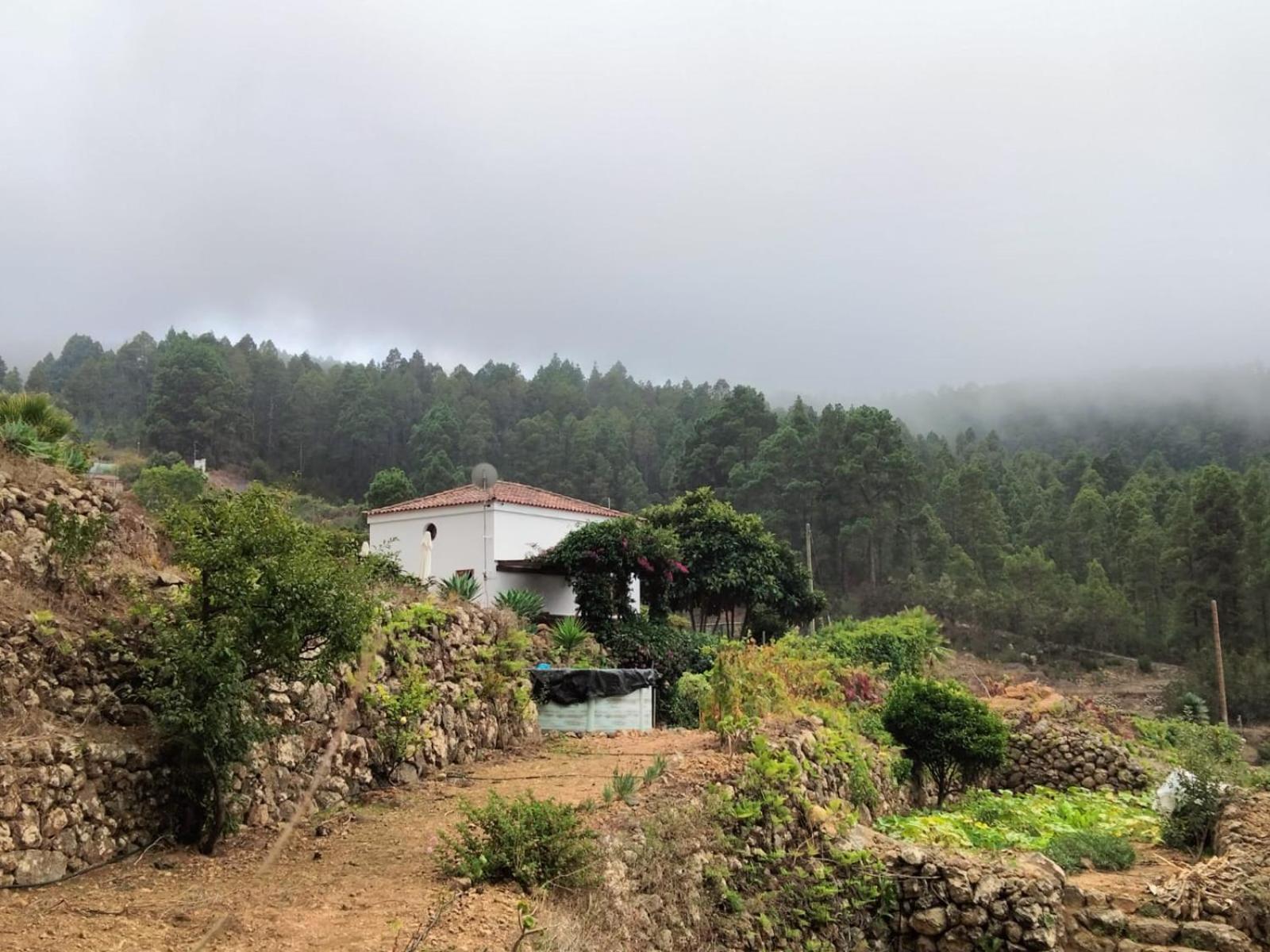 Casa Regina