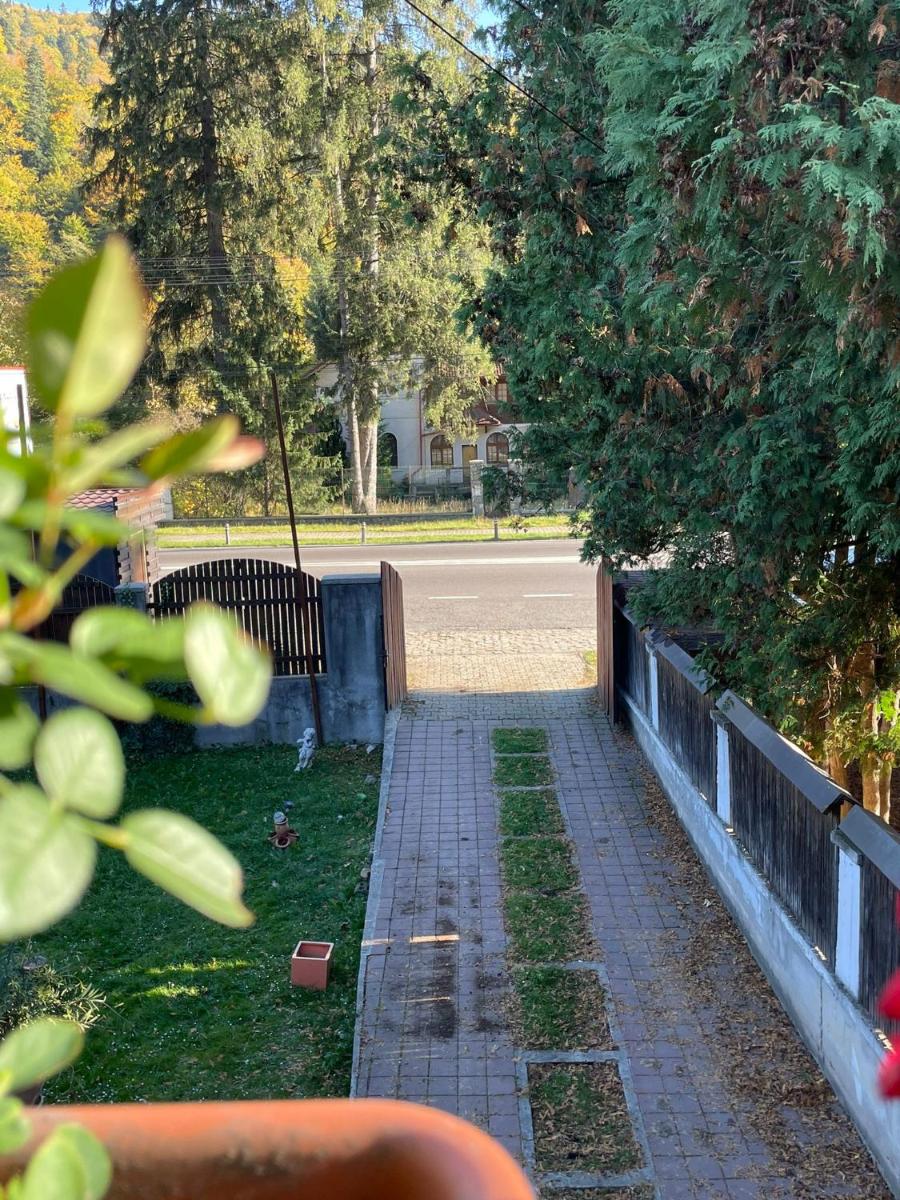 Vila Foisor en Buşteni