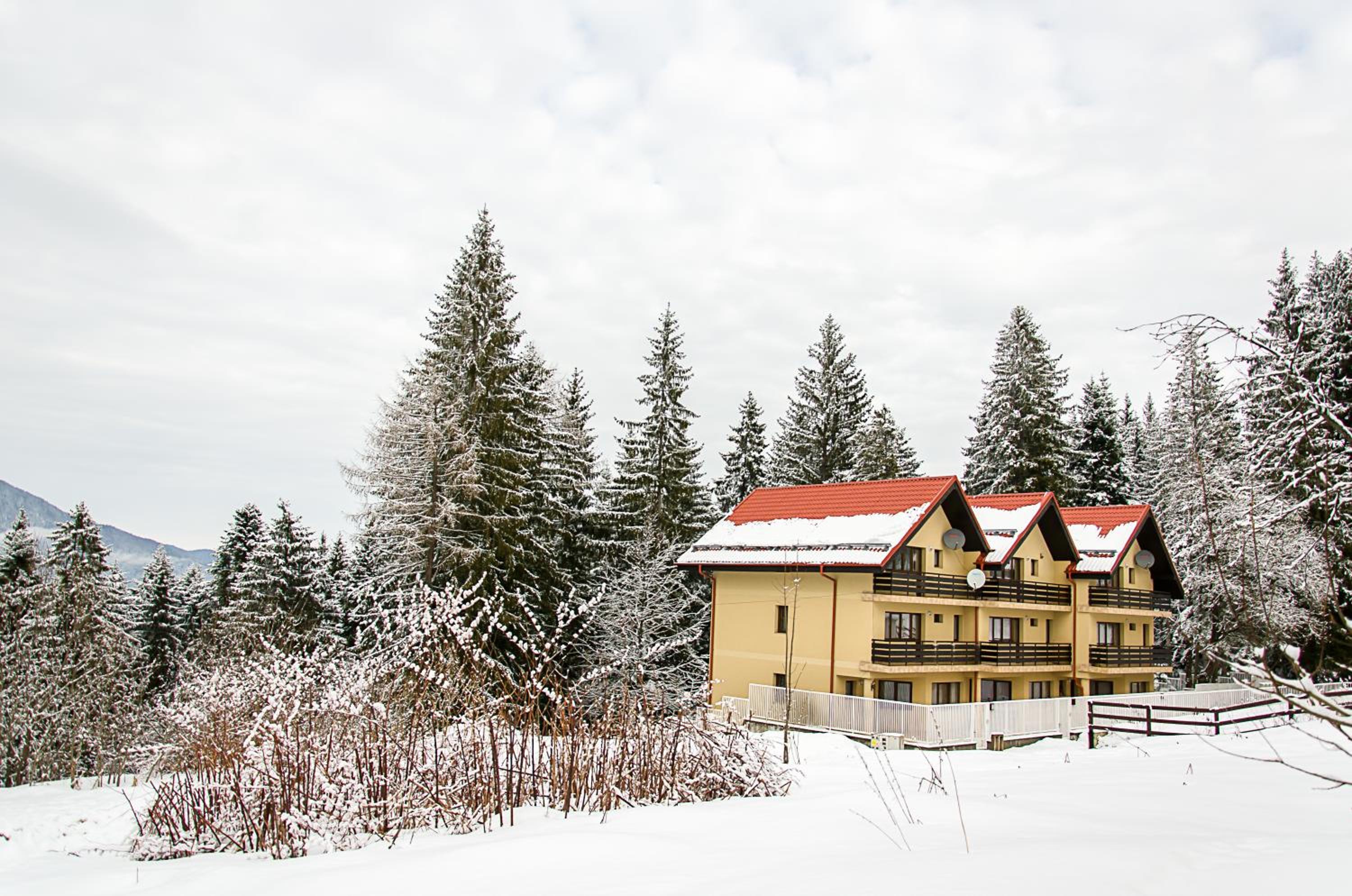 Holiday Vila Predeal