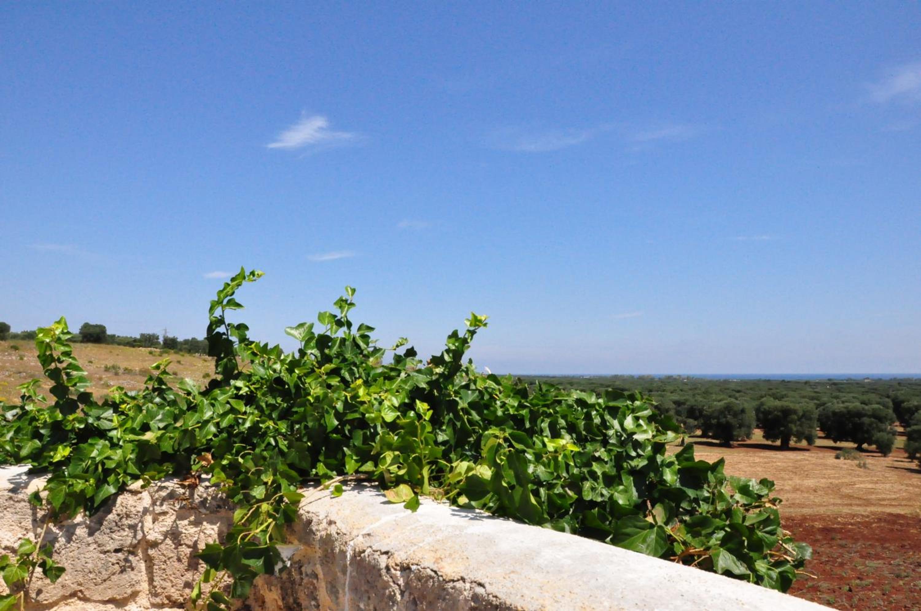 Masseria Le Terrazze di Serranova