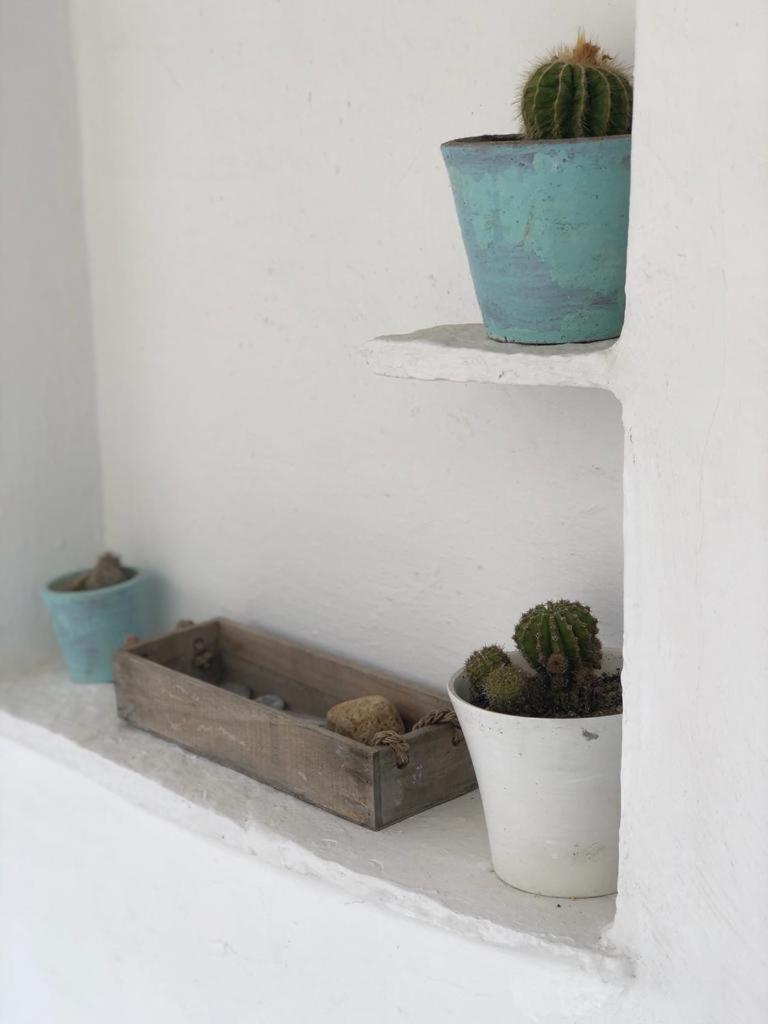 Photo 27