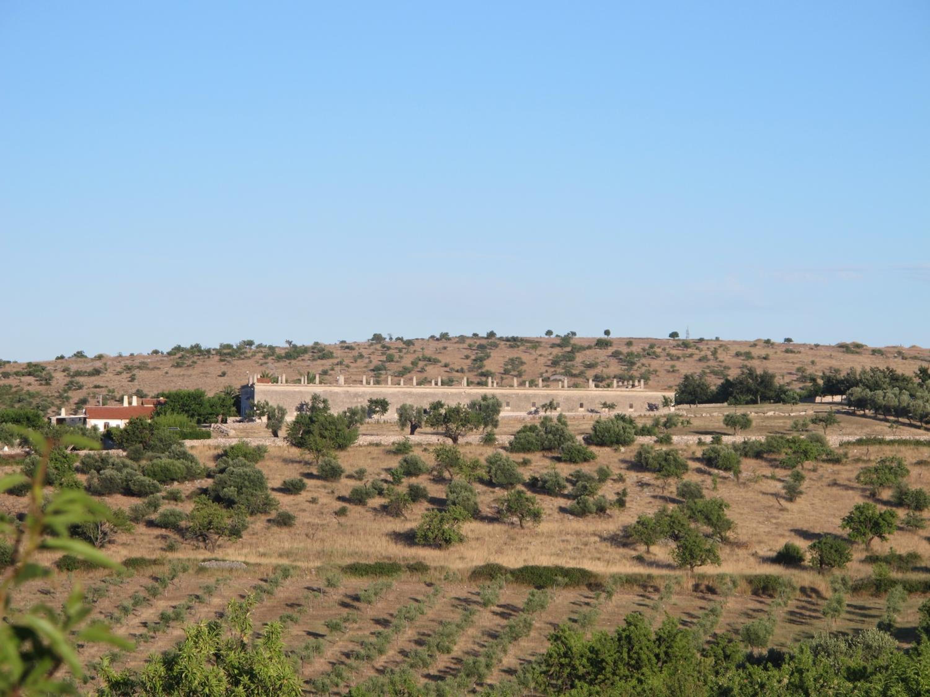 Photo 43