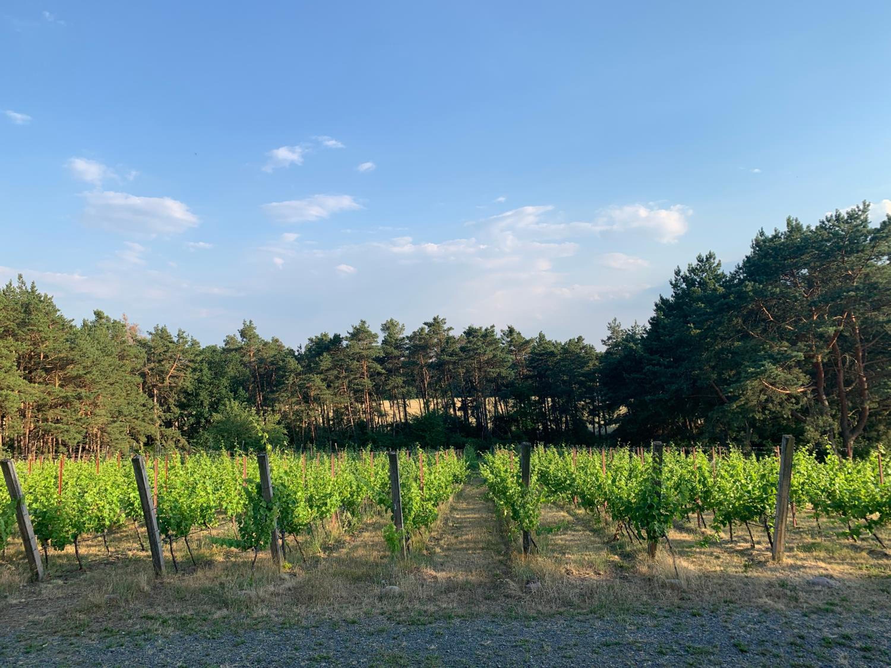 Finca in Brandenburg Ferienhaus mit Sauna