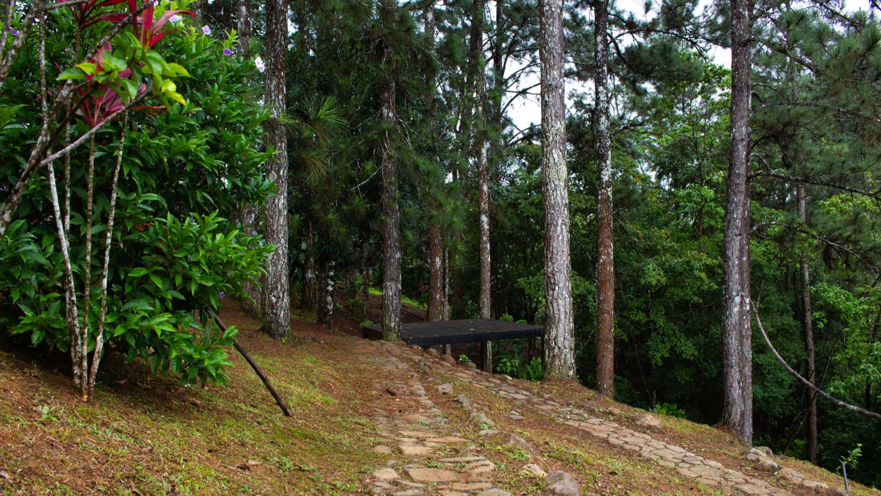 Arrue's Mountain Retreat view 4