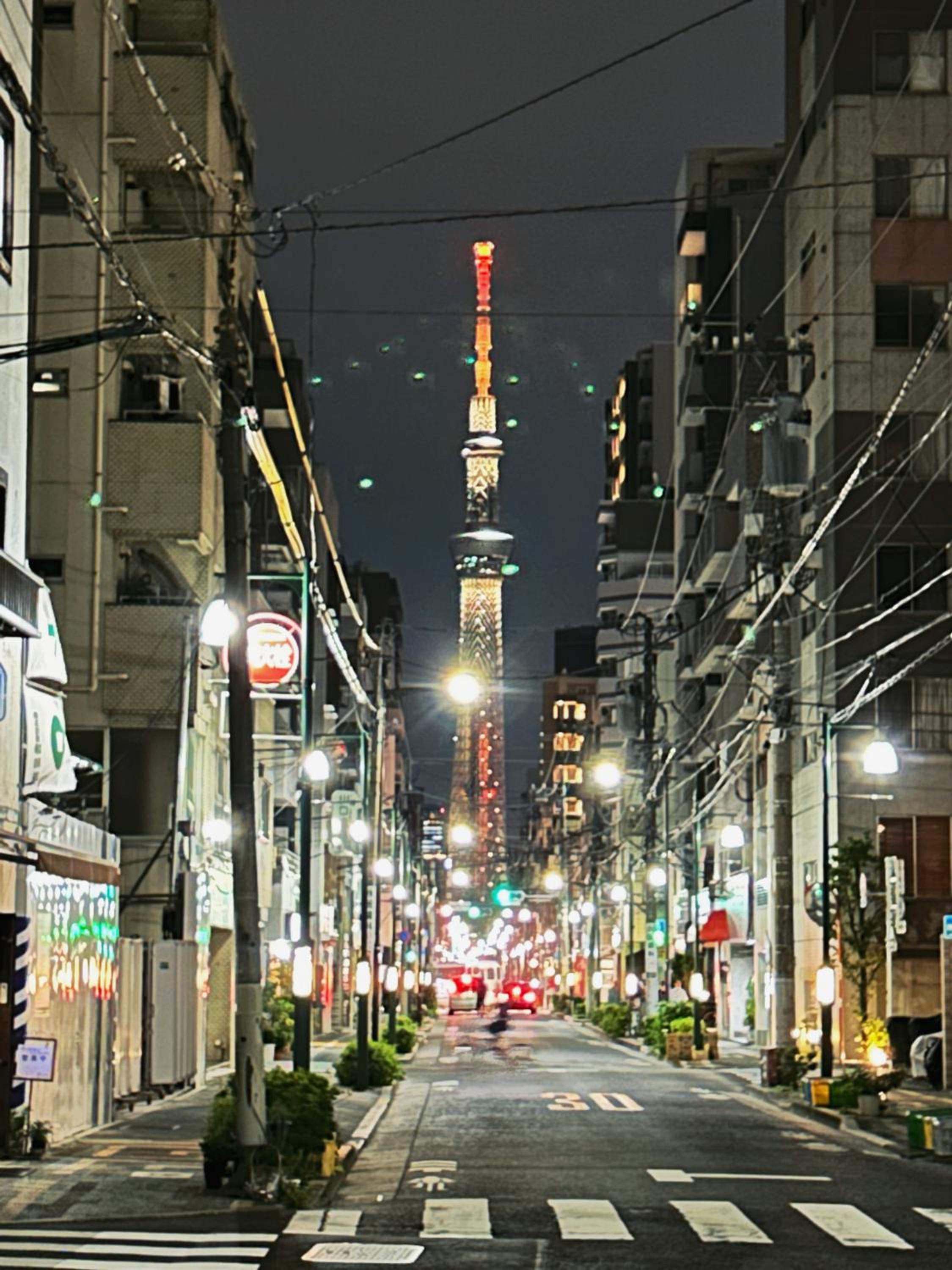 Tokyo Louis House in Ueno area close to JR Yamanote Line & Metro Ginza Line walk to Ueno Park and Ameyoko