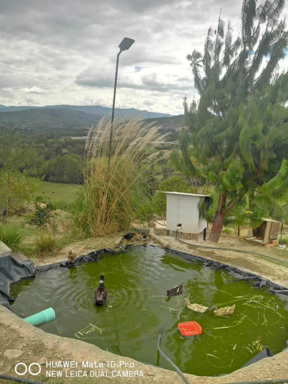 Amonitas Glamping Deluxe
