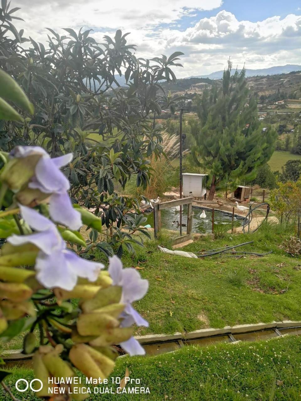 Amonitas Glamping Deluxe