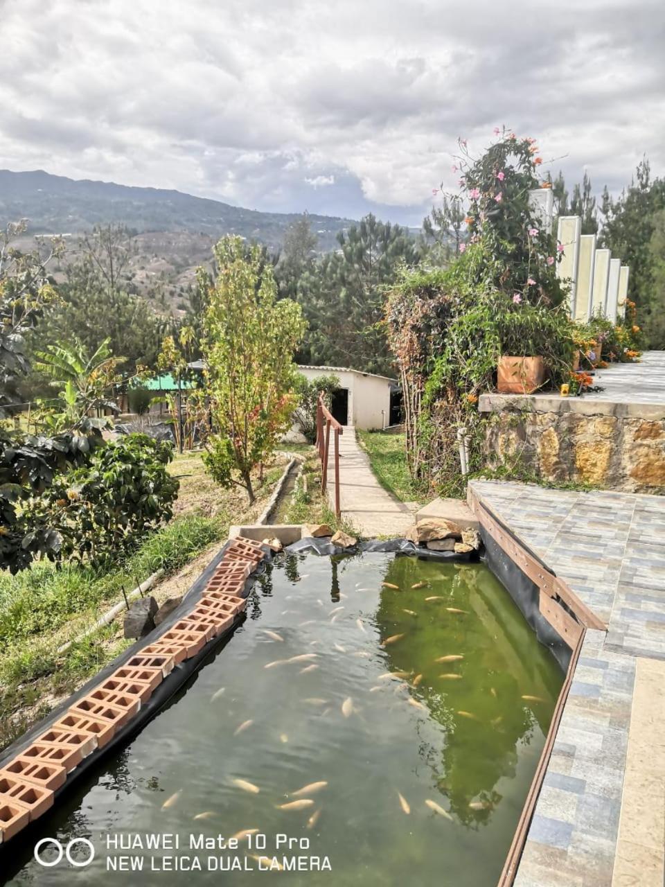 Amonitas Glamping Deluxe