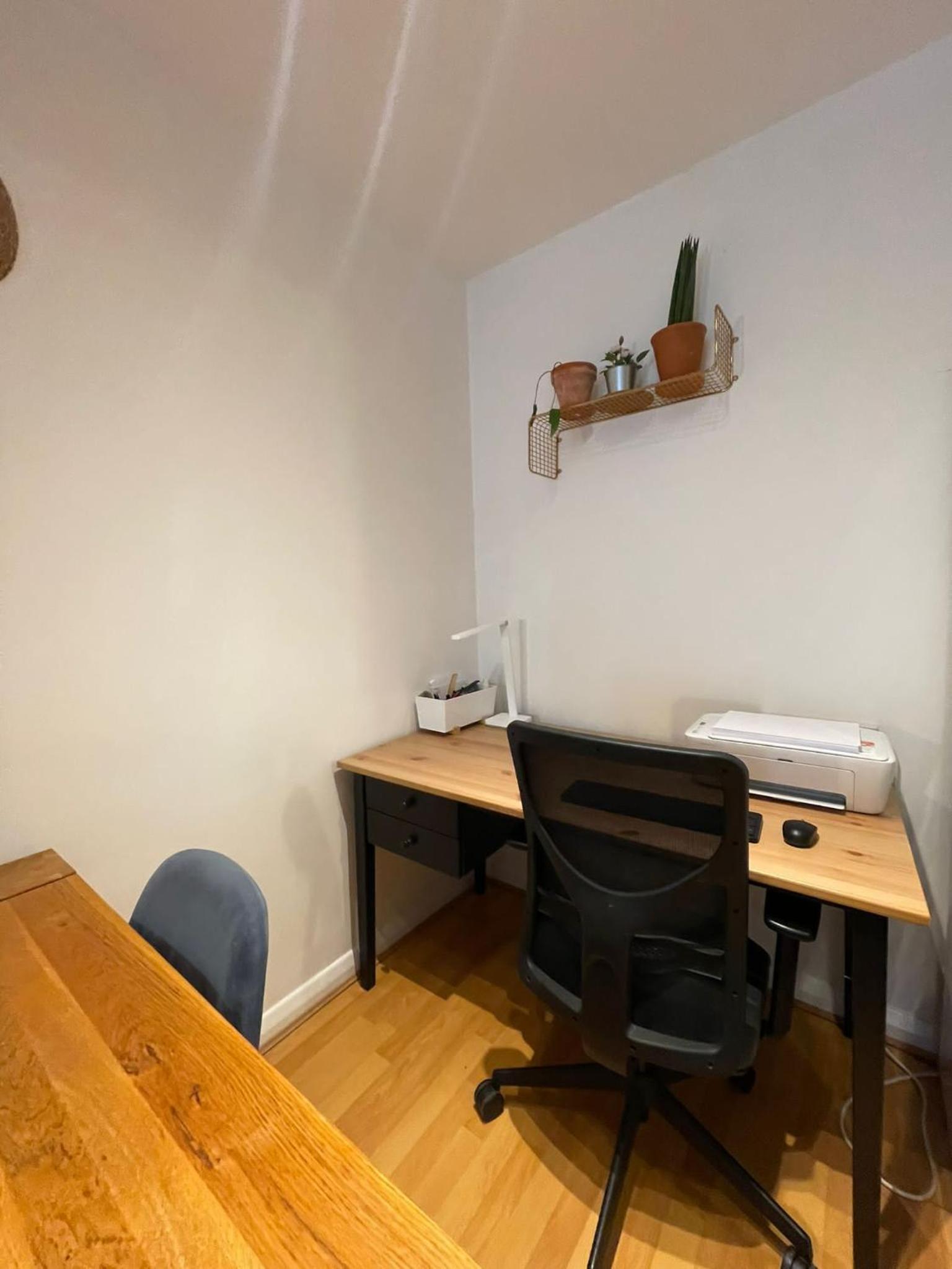 Cosy Modern Apartment in Portobello
