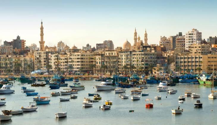 Smouha Zahran Haus for Private rooms or Private Apartment view 4