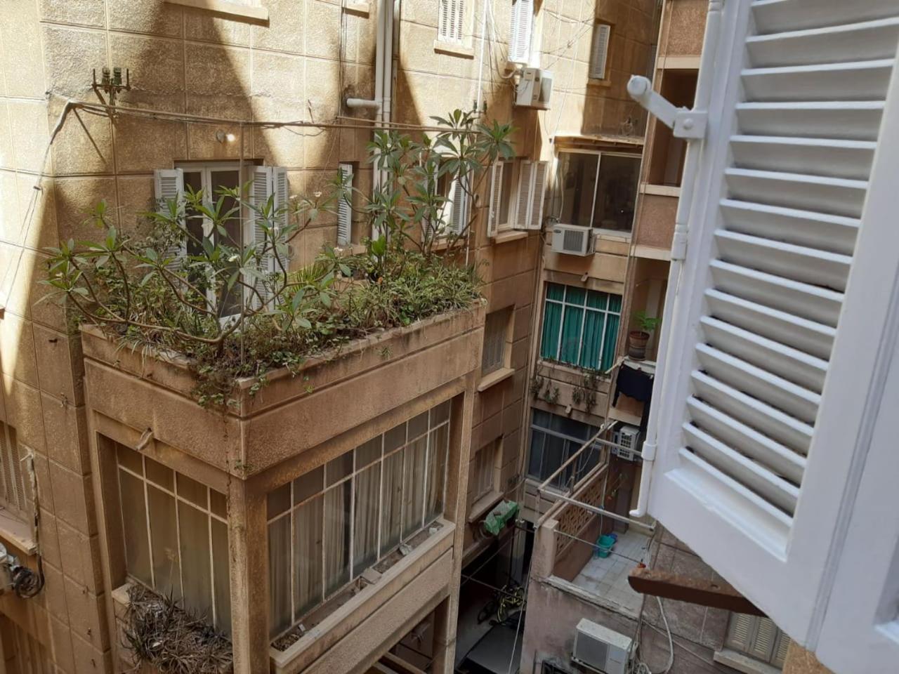 Smouha Zahran Haus for Private rooms or Private Apartment view 3