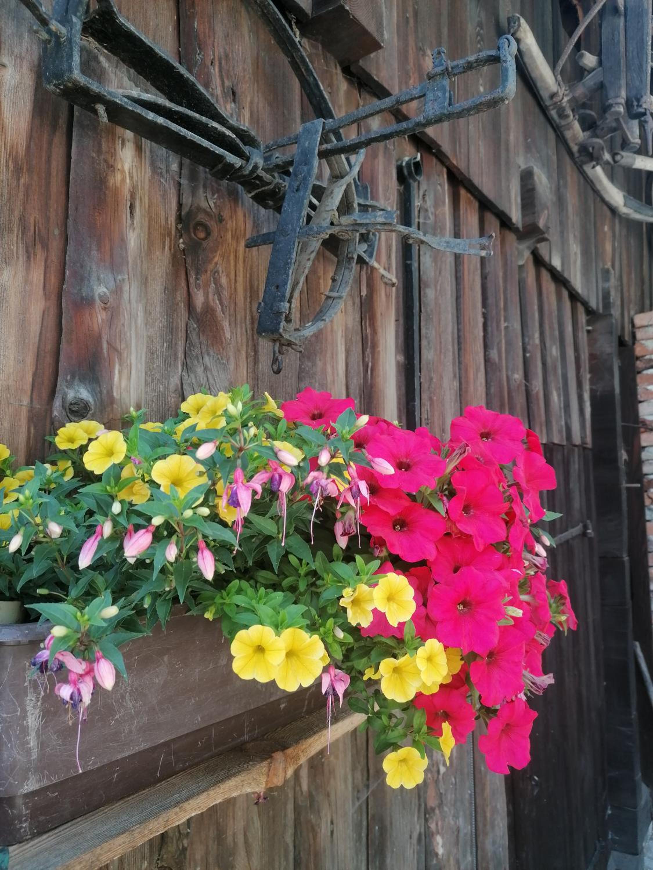 Waldhaus Klein-Veitsch, Auszeit im Grünen