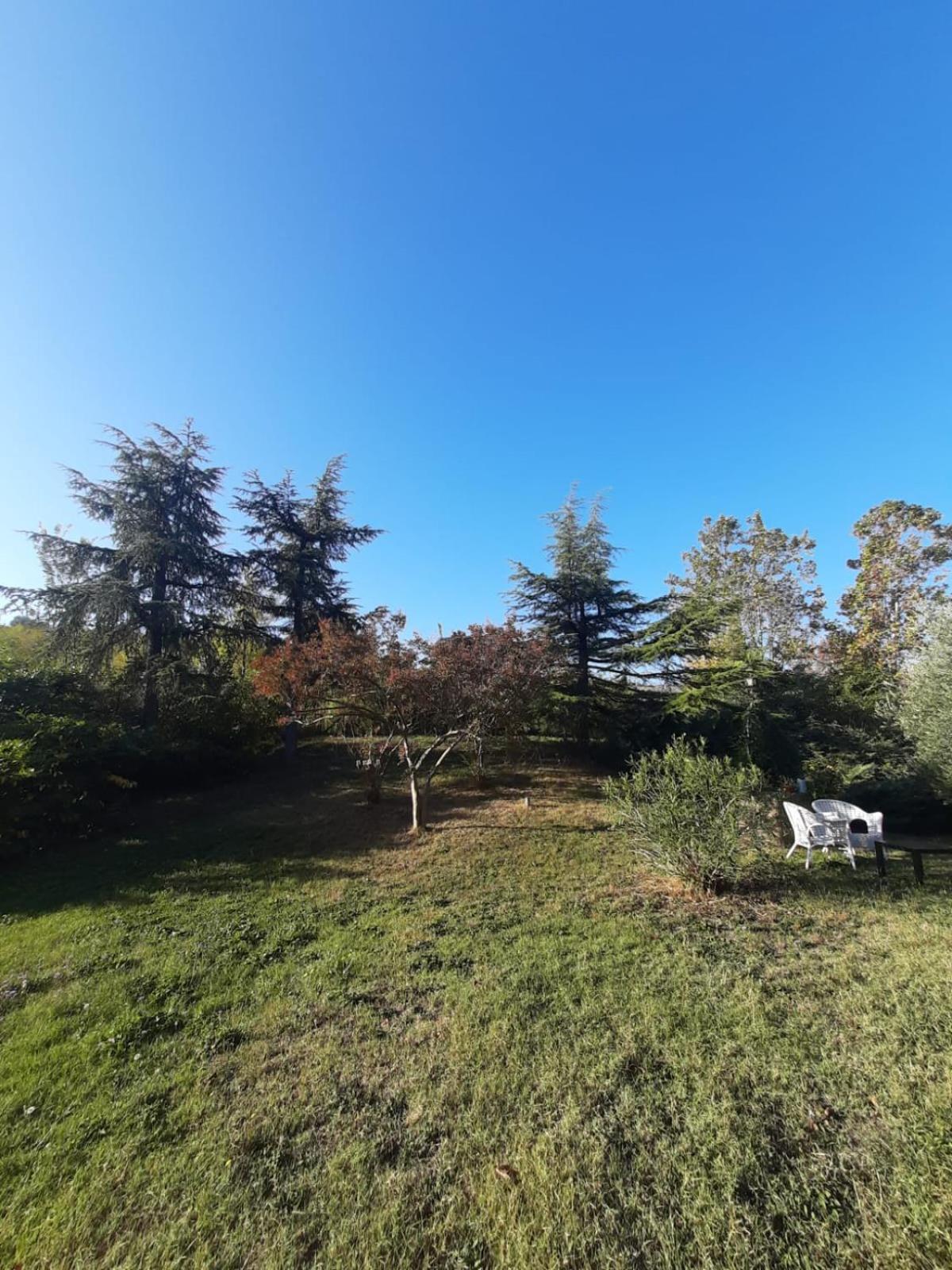 B&B Santa Chiara view 3