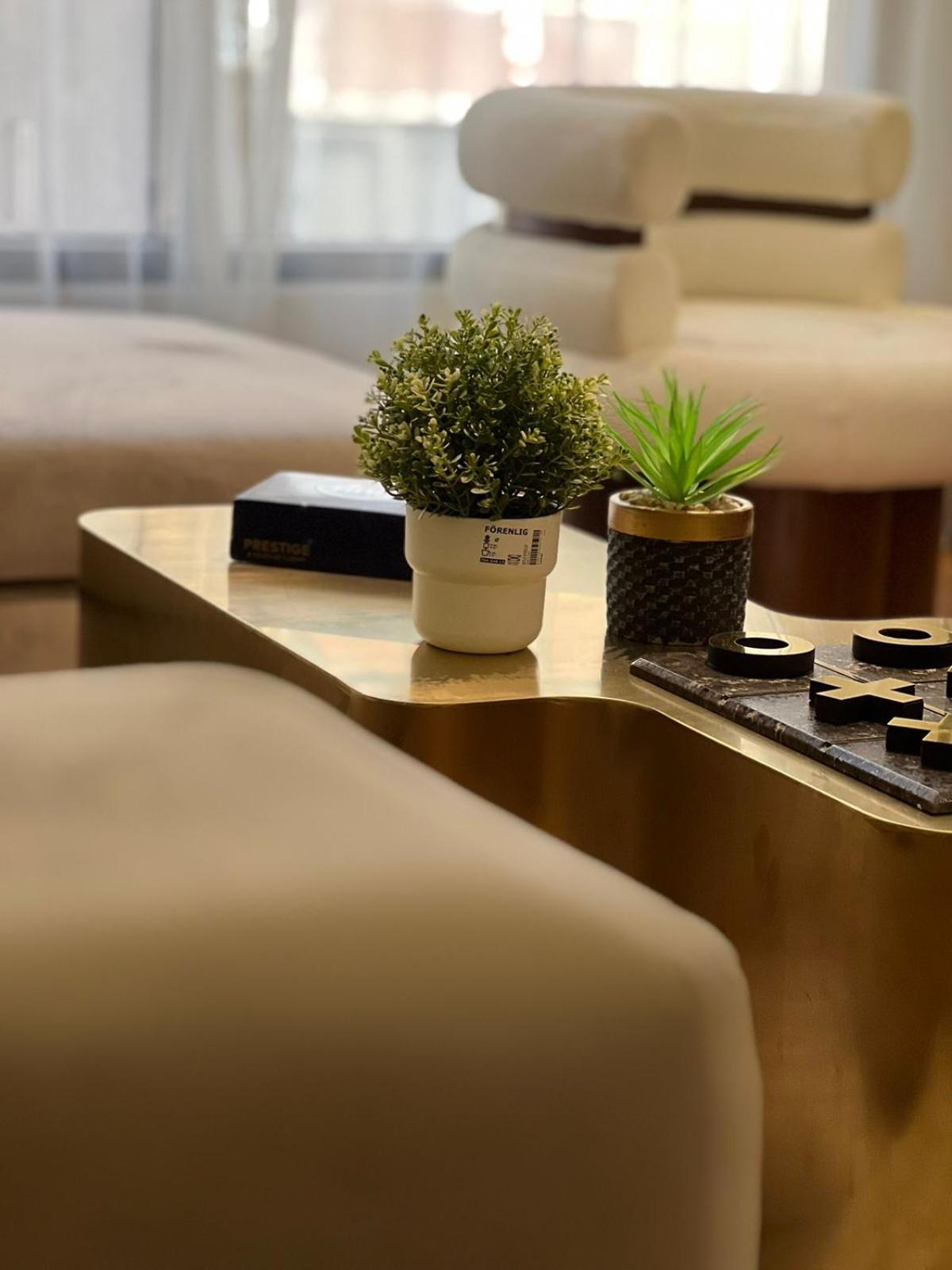 Family sumptuous apartment At Melsa - Nasr City.