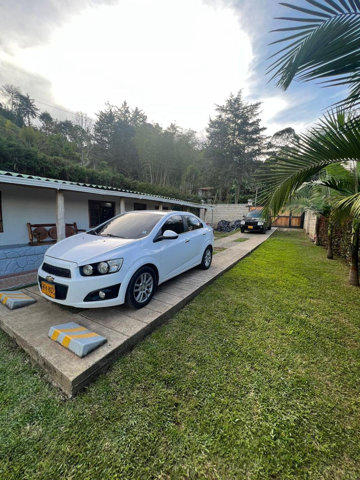 Finca Palma de Coco, Municipio de el Peñol Antioquia