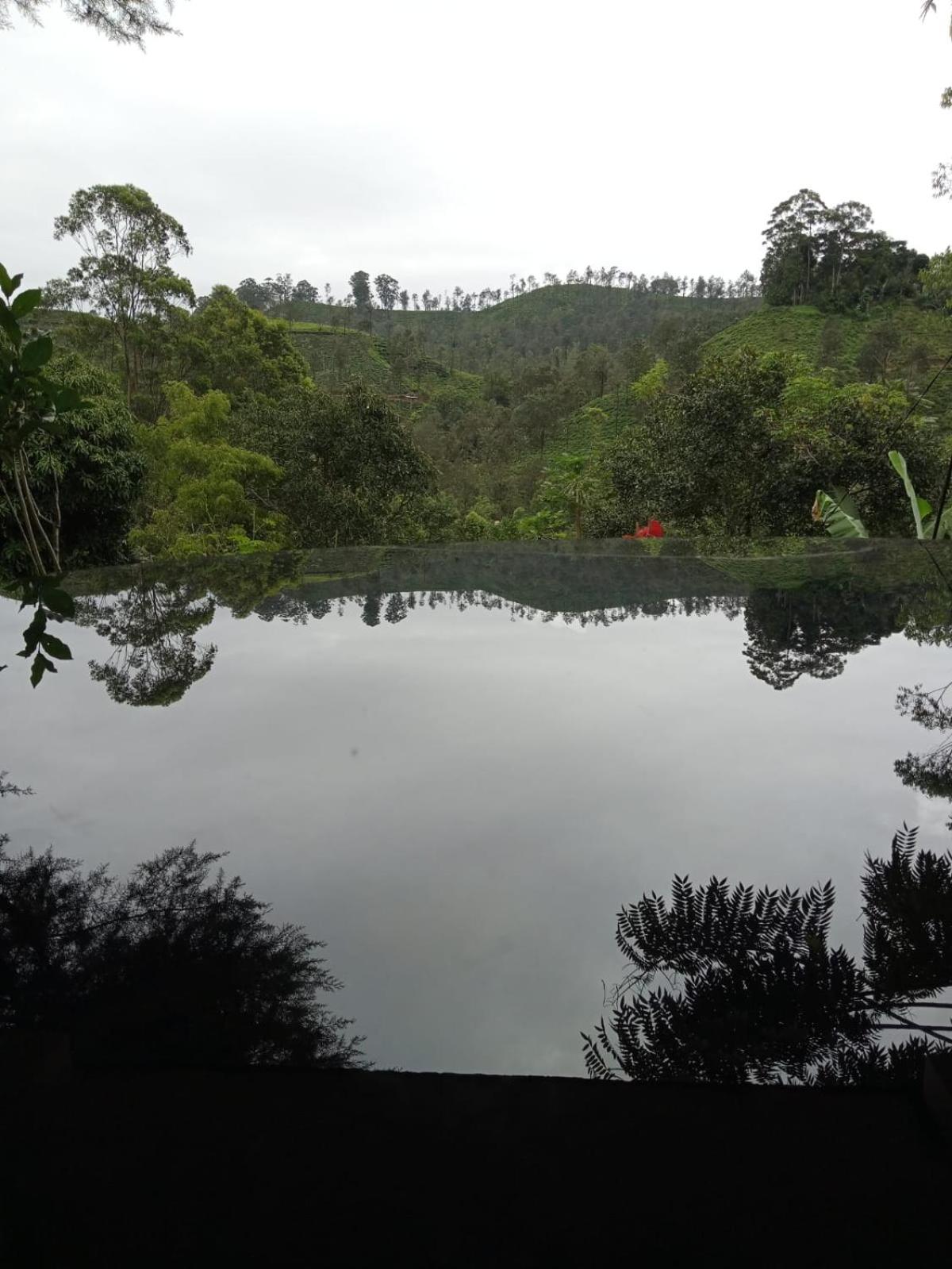 Nineart Resort