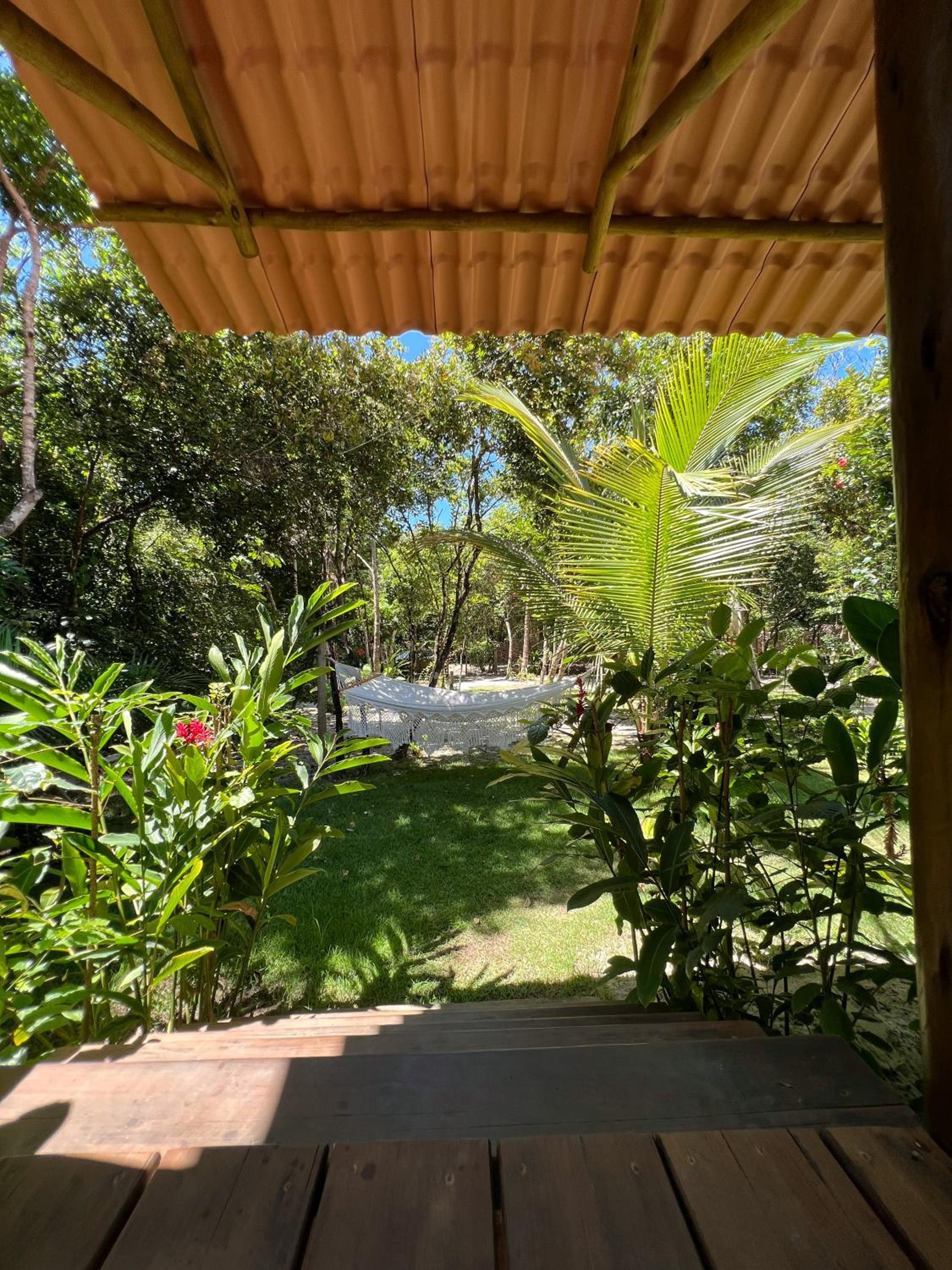 OLITAS - Praia de algodões