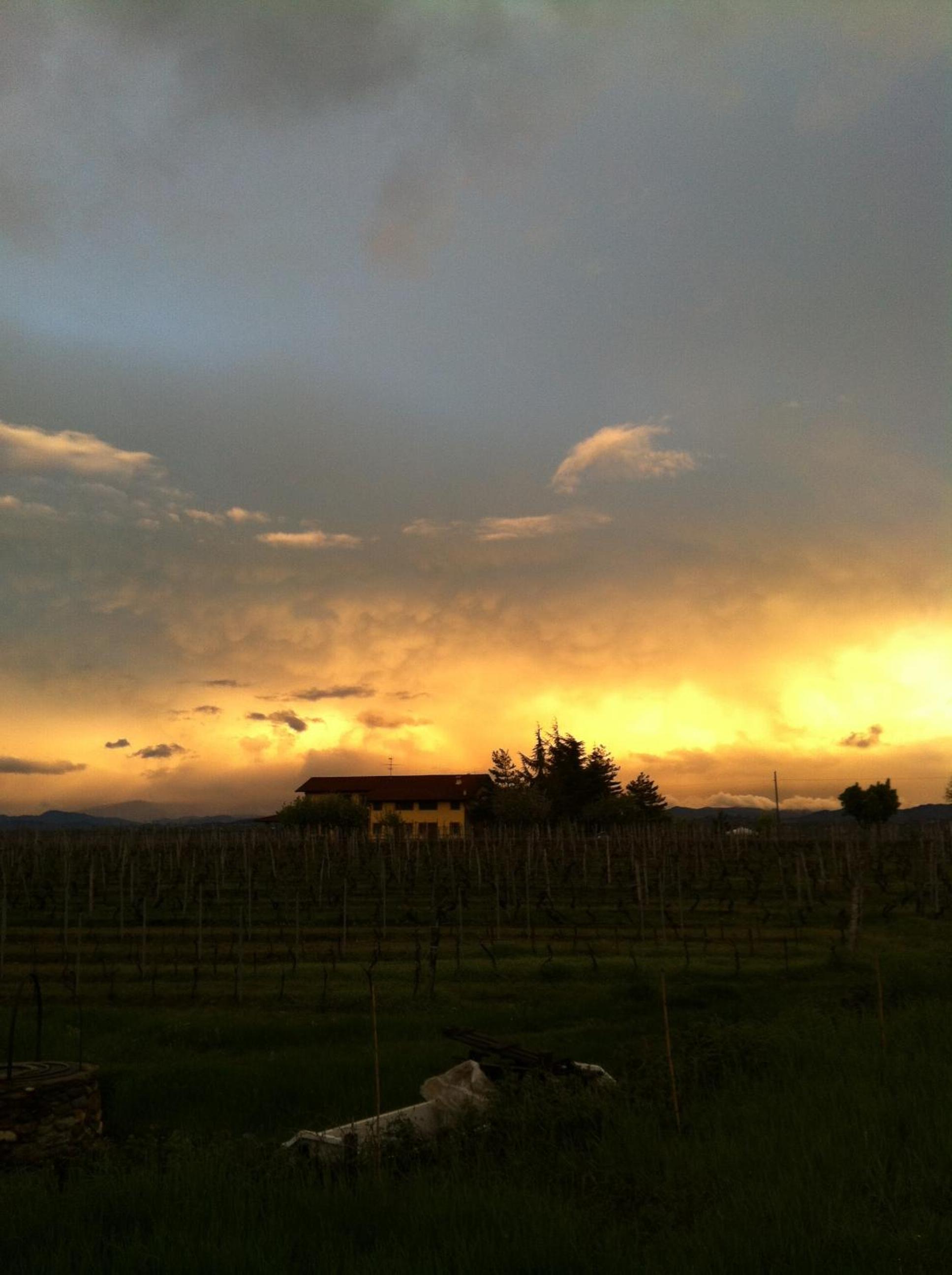 Cascina La Maddalena Bed & Wine view 4