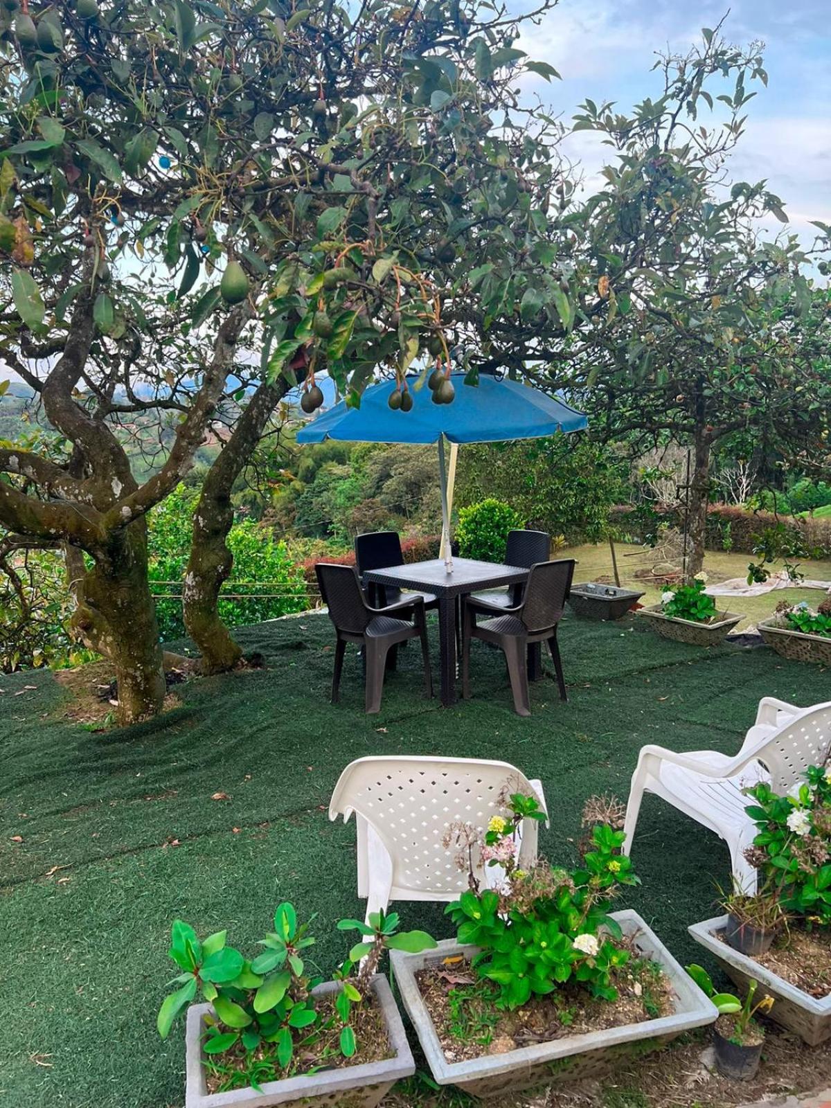 Finca Palma de Coco, Municipio de el Peñol Antioquia