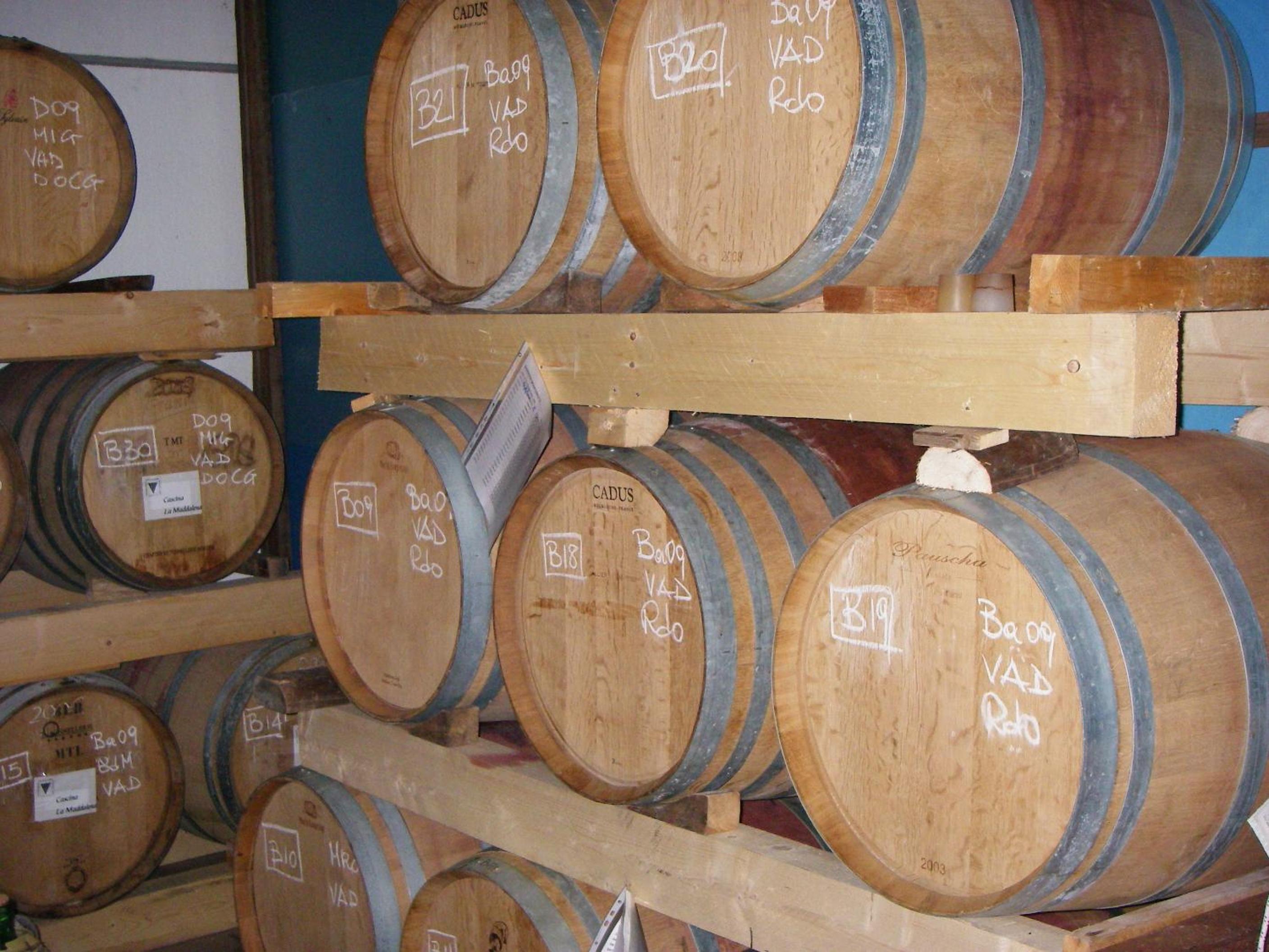 Cascina La Maddalena Bed & Wine view 2