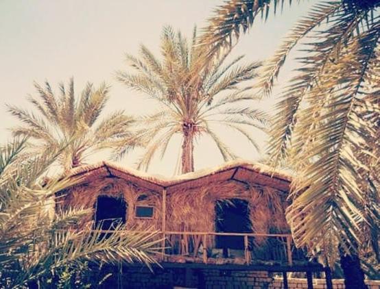 Shamofs Farm